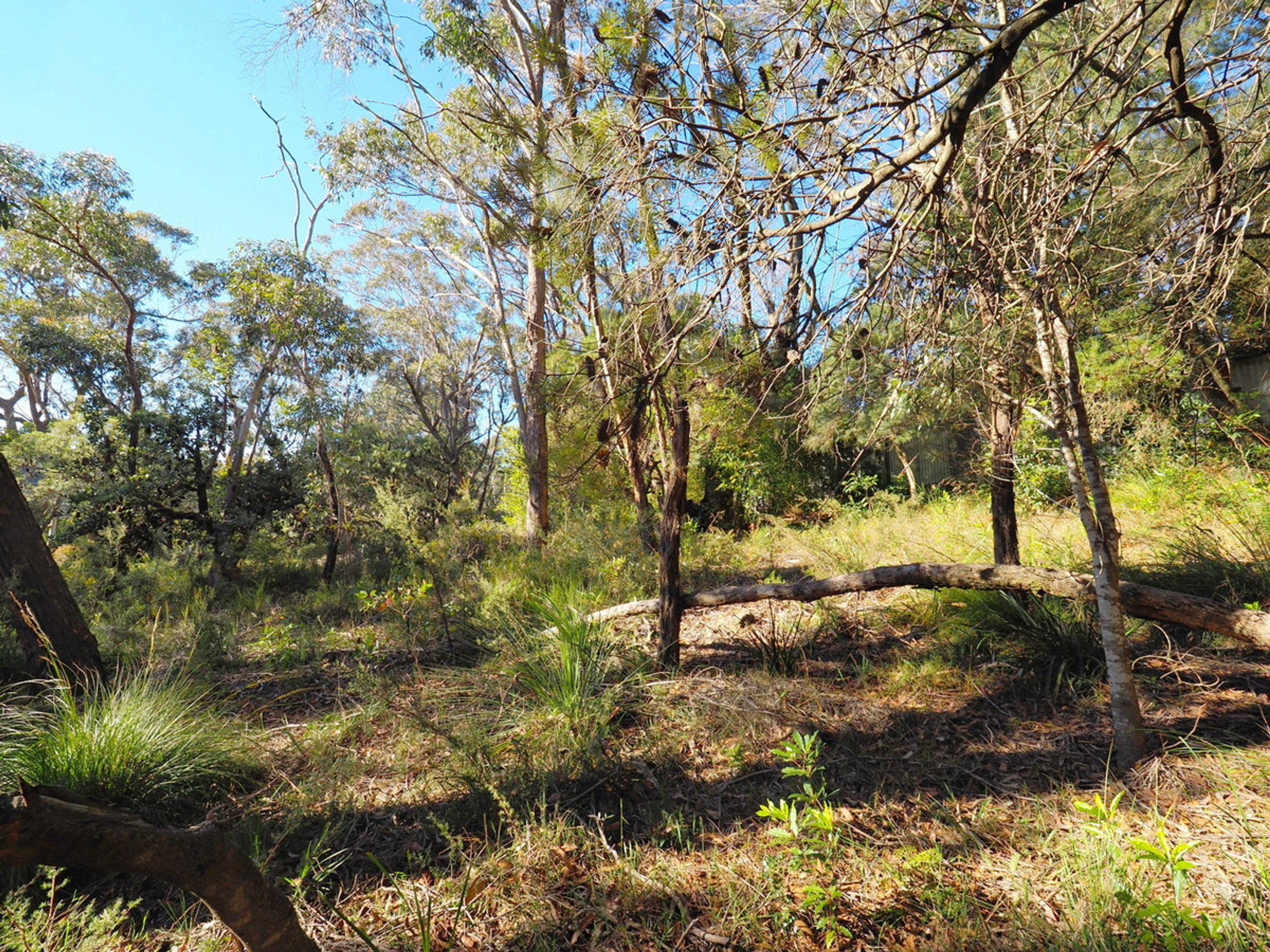 36 Winston Street, Leura - Thumbnail 2