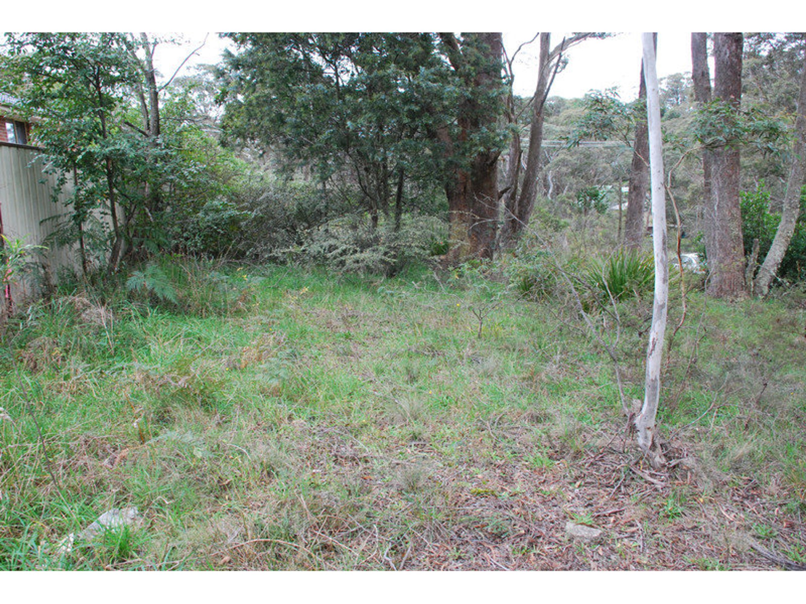 54 North Street, Katoomba - Thumbnail 2