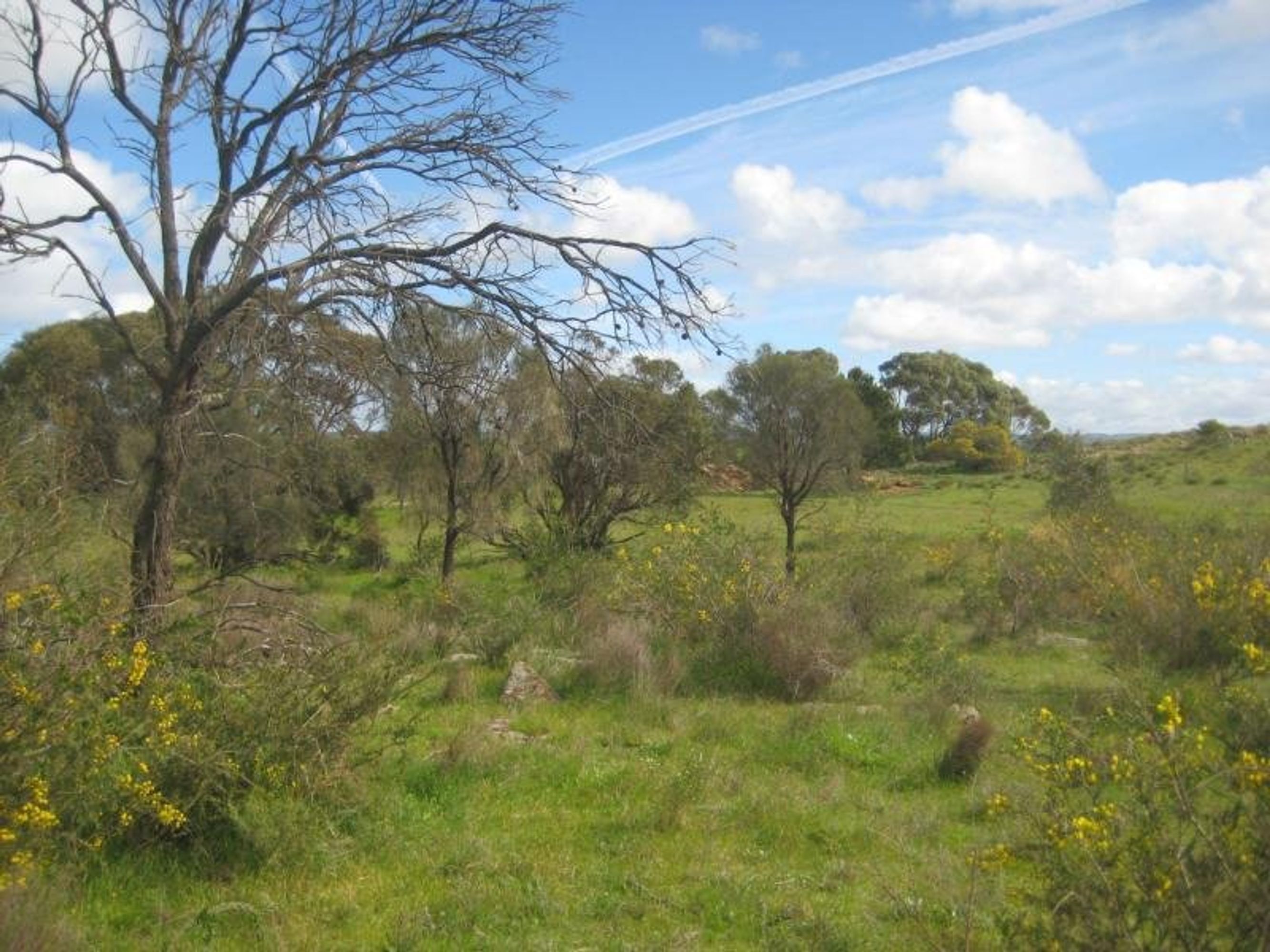 Lot 96 Anders Road, Rockleigh, SA 5254, Rockleigh - Thumbnail 7