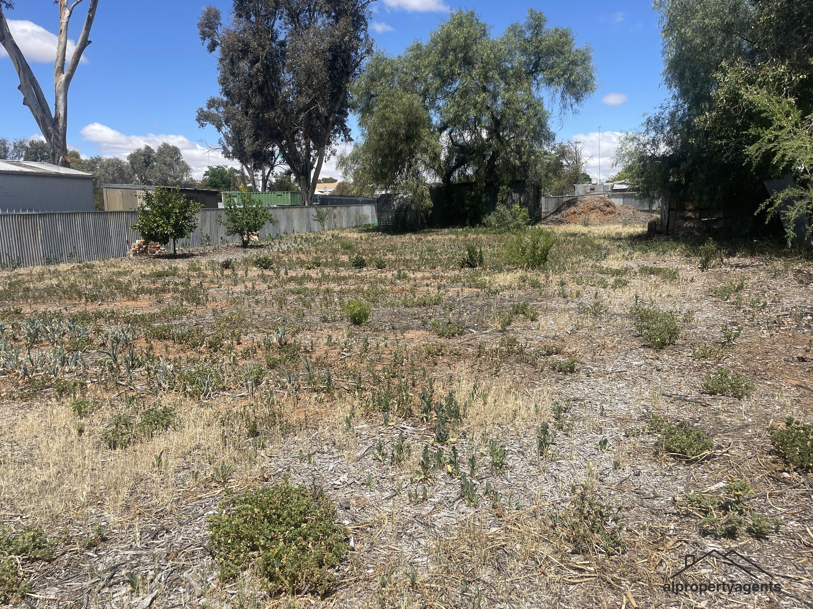2 Rigg Street, Rainbow VIC 3424, Rainbow - Thumbnail 3