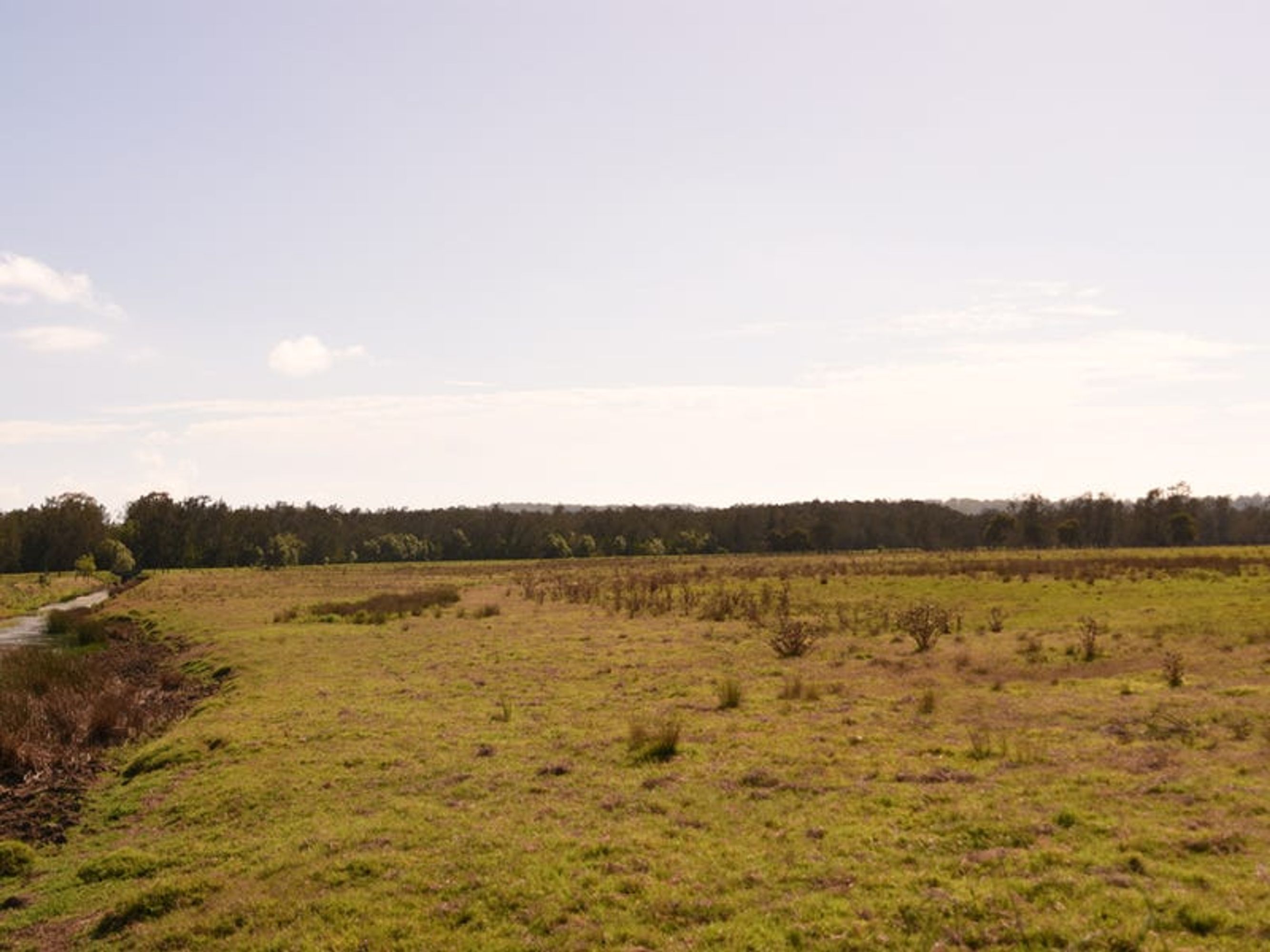 Lot 21, 470 Kings Creek Road, Lawrence - Thumbnail 7