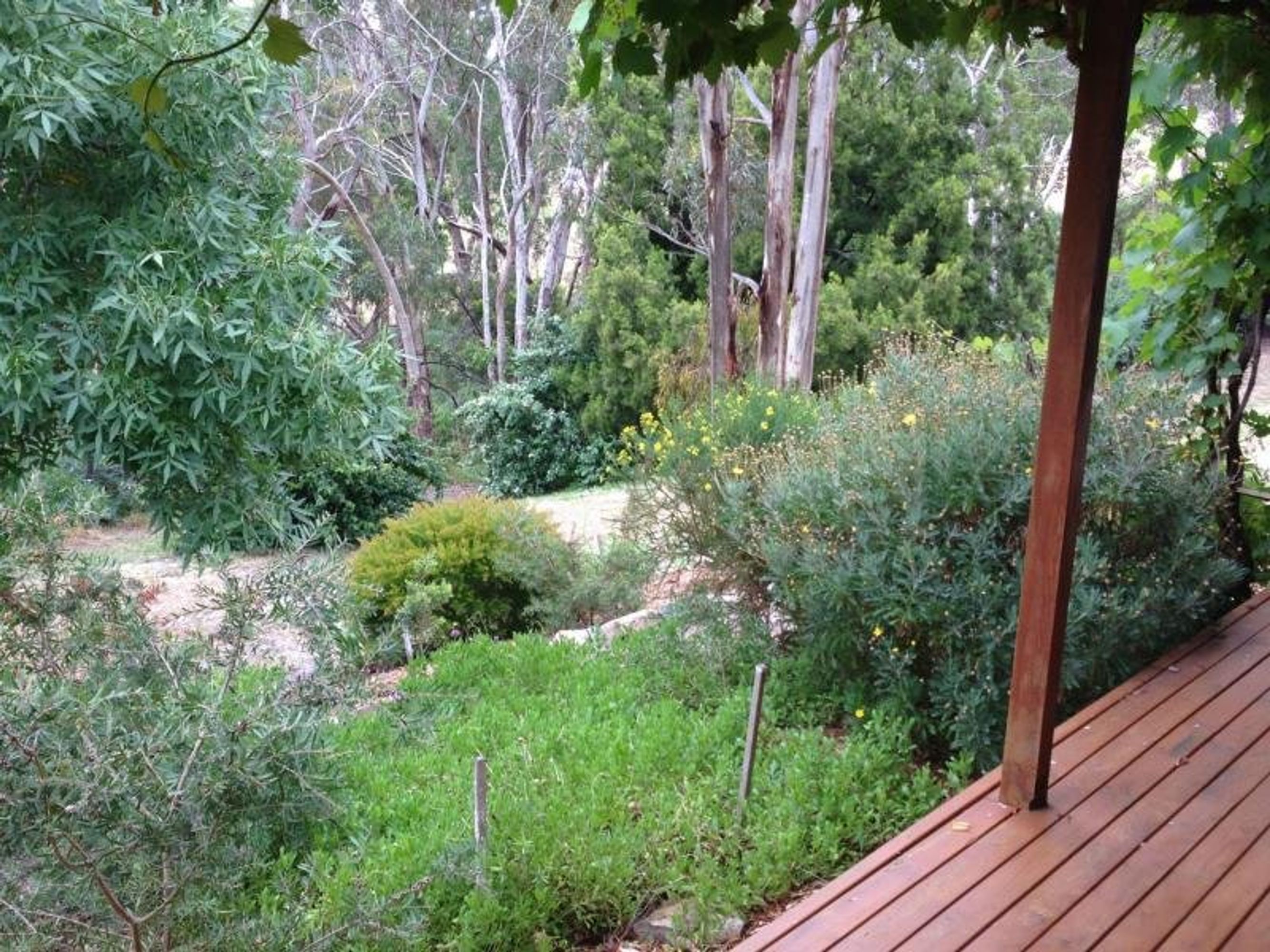 103 Naughton Rd, Woodside, SA 5244, Woodside - Thumbnail 4