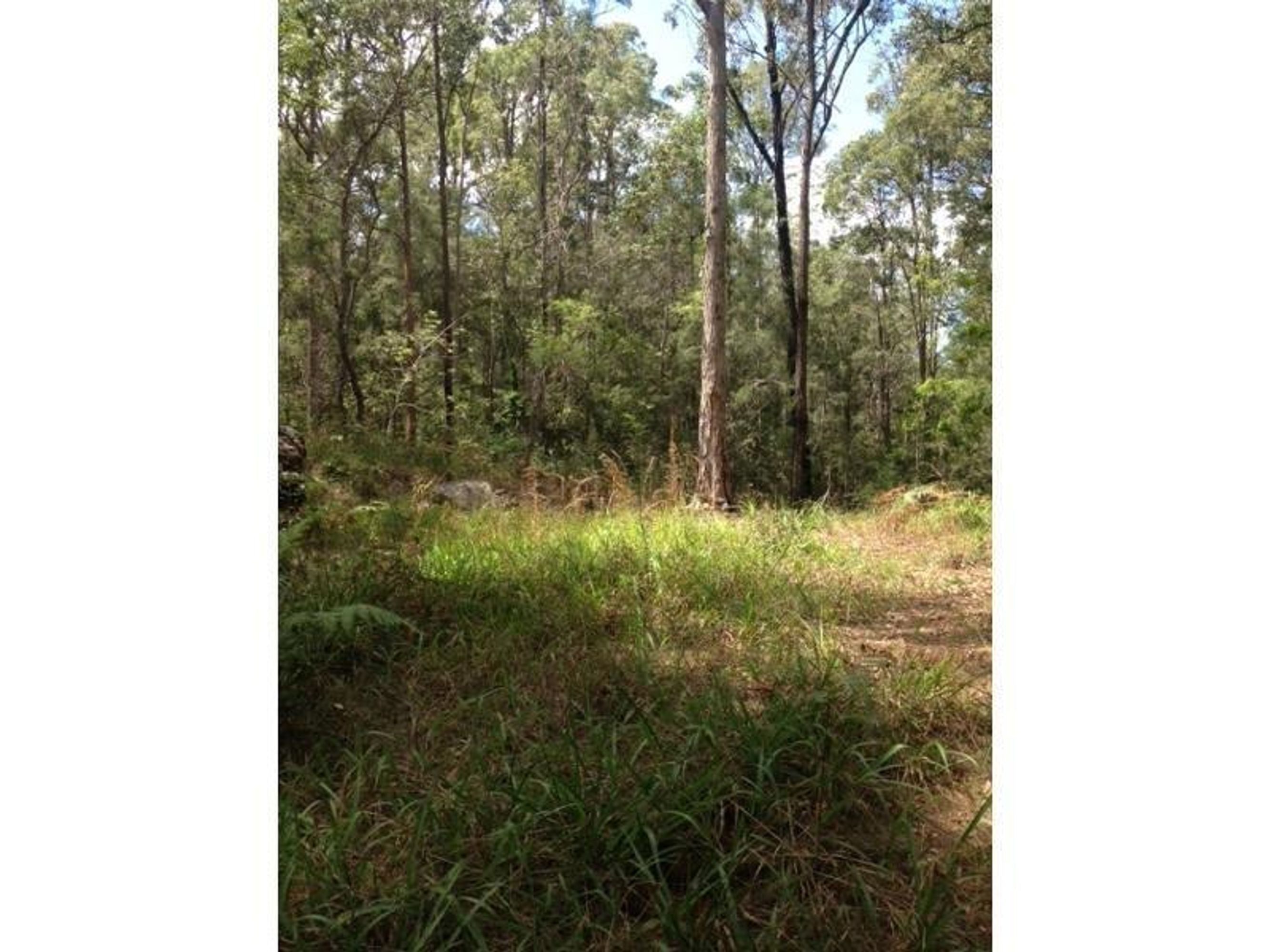 970 Kungala Road, Lanitza - Thumbnail 3
