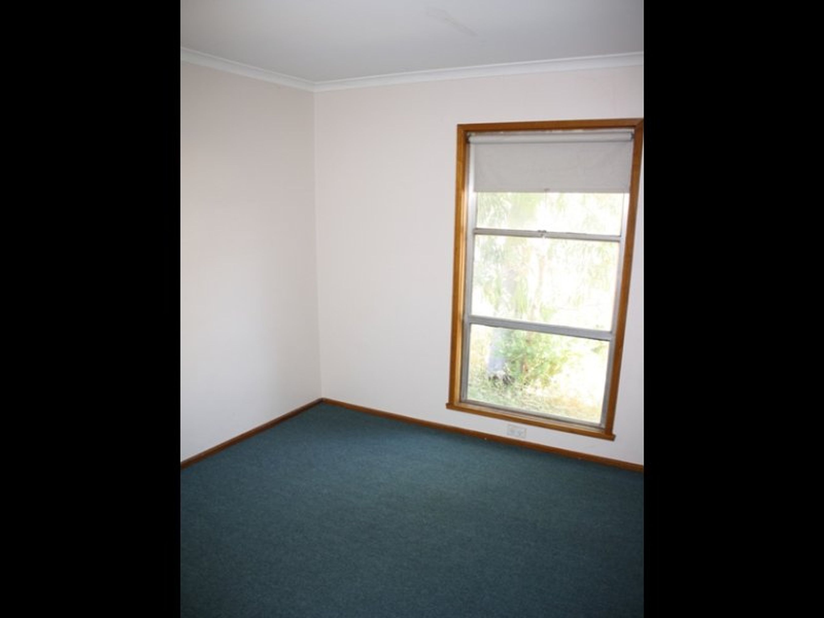 12 Shirley Street, Horsham VIC 3400, Horsham - Thumbnail 5