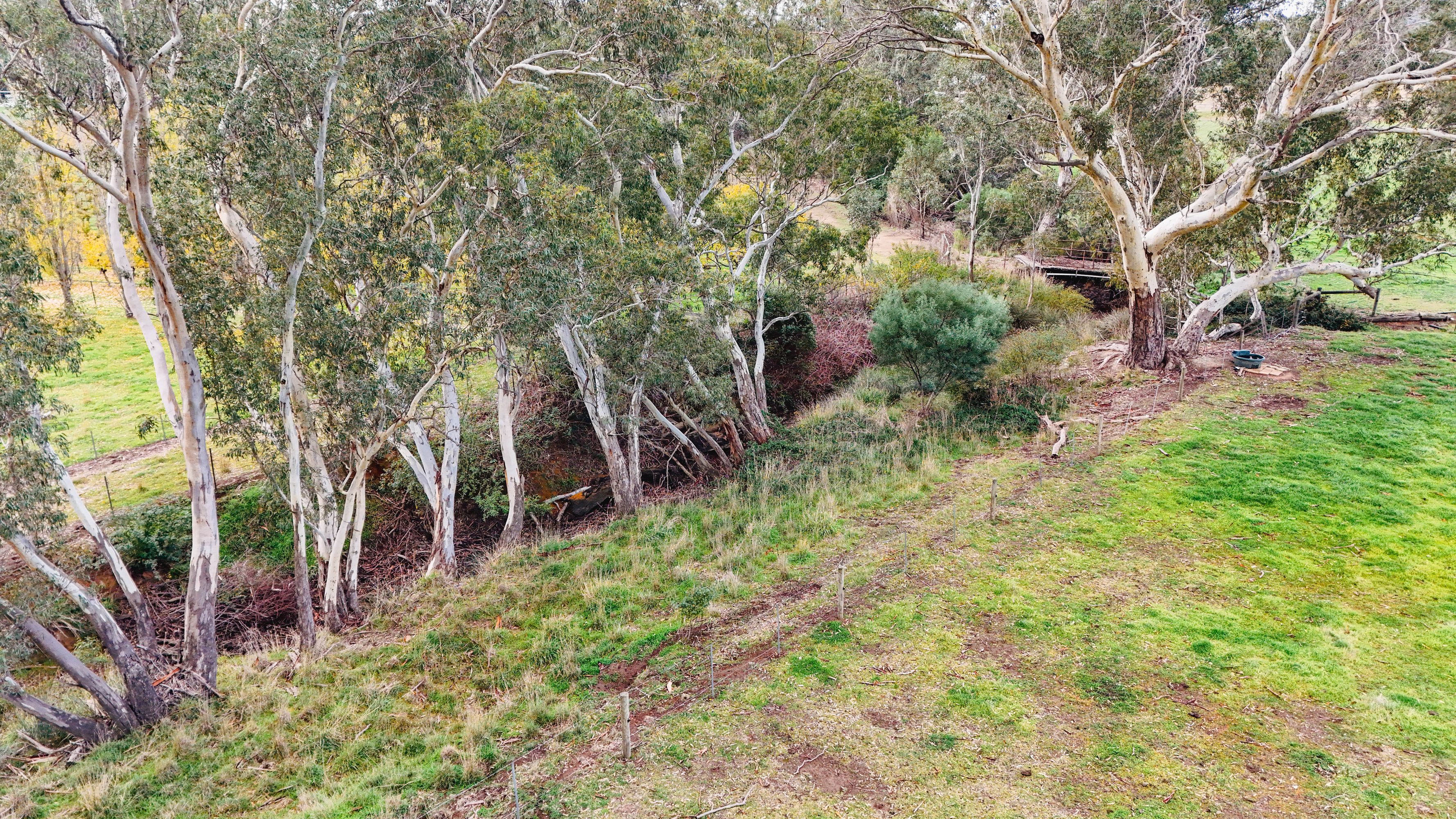 230 Nankervis Road, Mandurang, Mandurang - Thumbnail 5