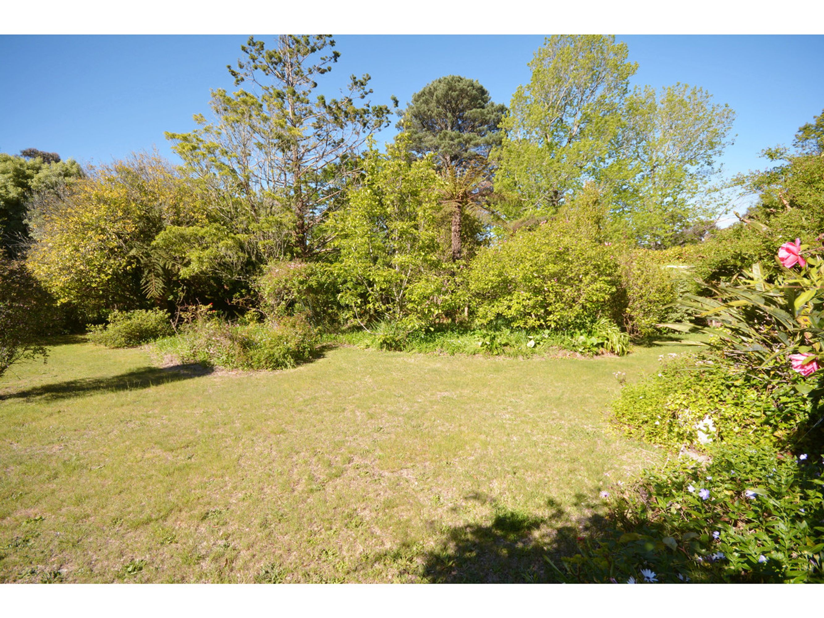 19 Forster Road, Katoomba - Thumbnail 7