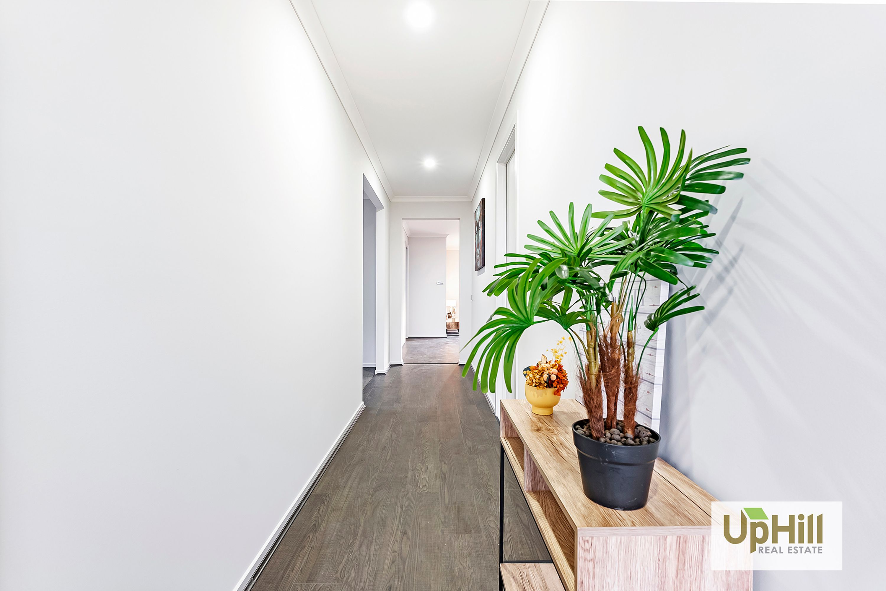 29 Tesaluke Avenue, Clyde North - Thumbnail 3
