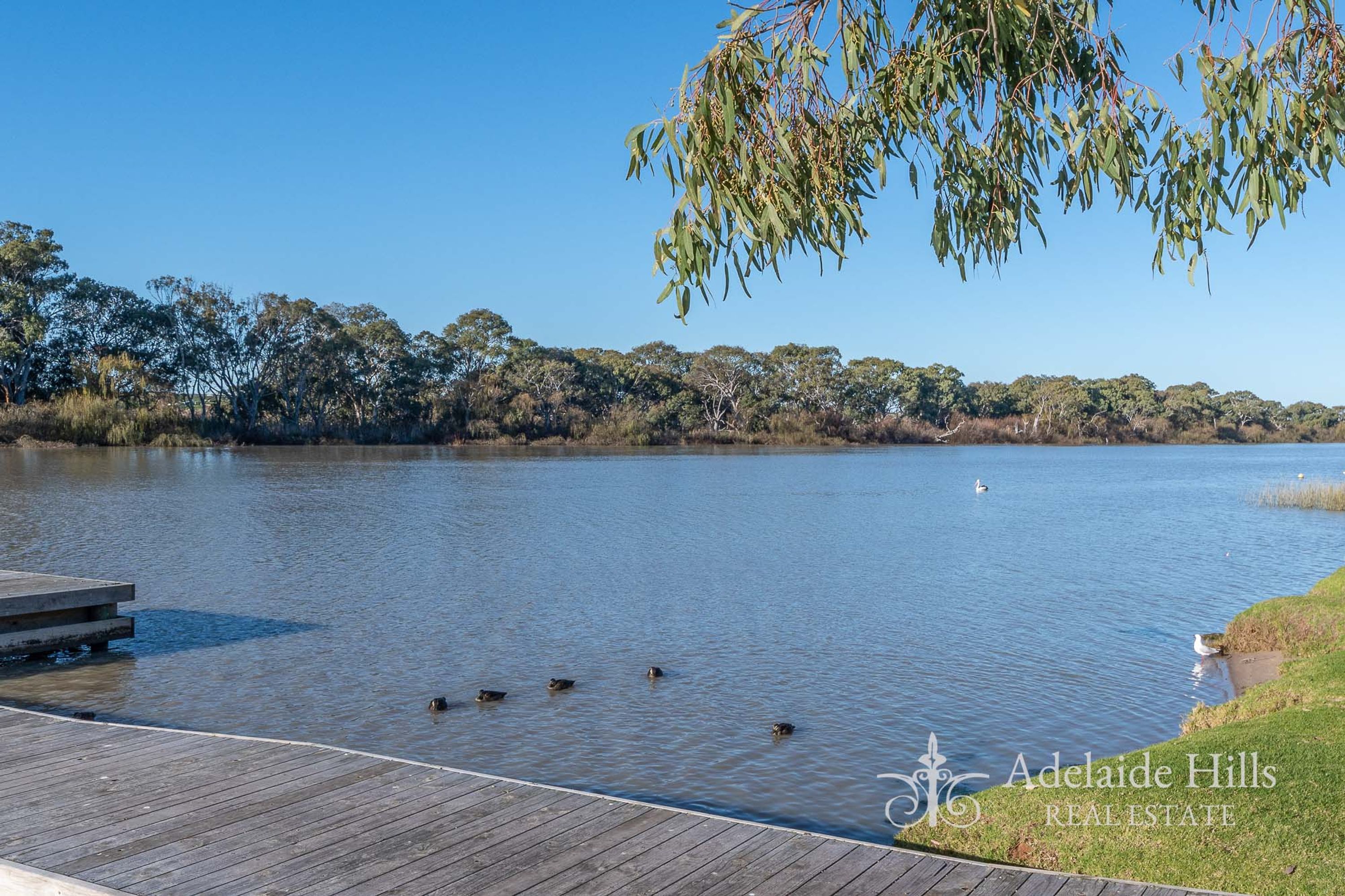 30-54 Darling Avenue, Murray Bridge SA 5253, Murray Bridge - Thumbnail 6