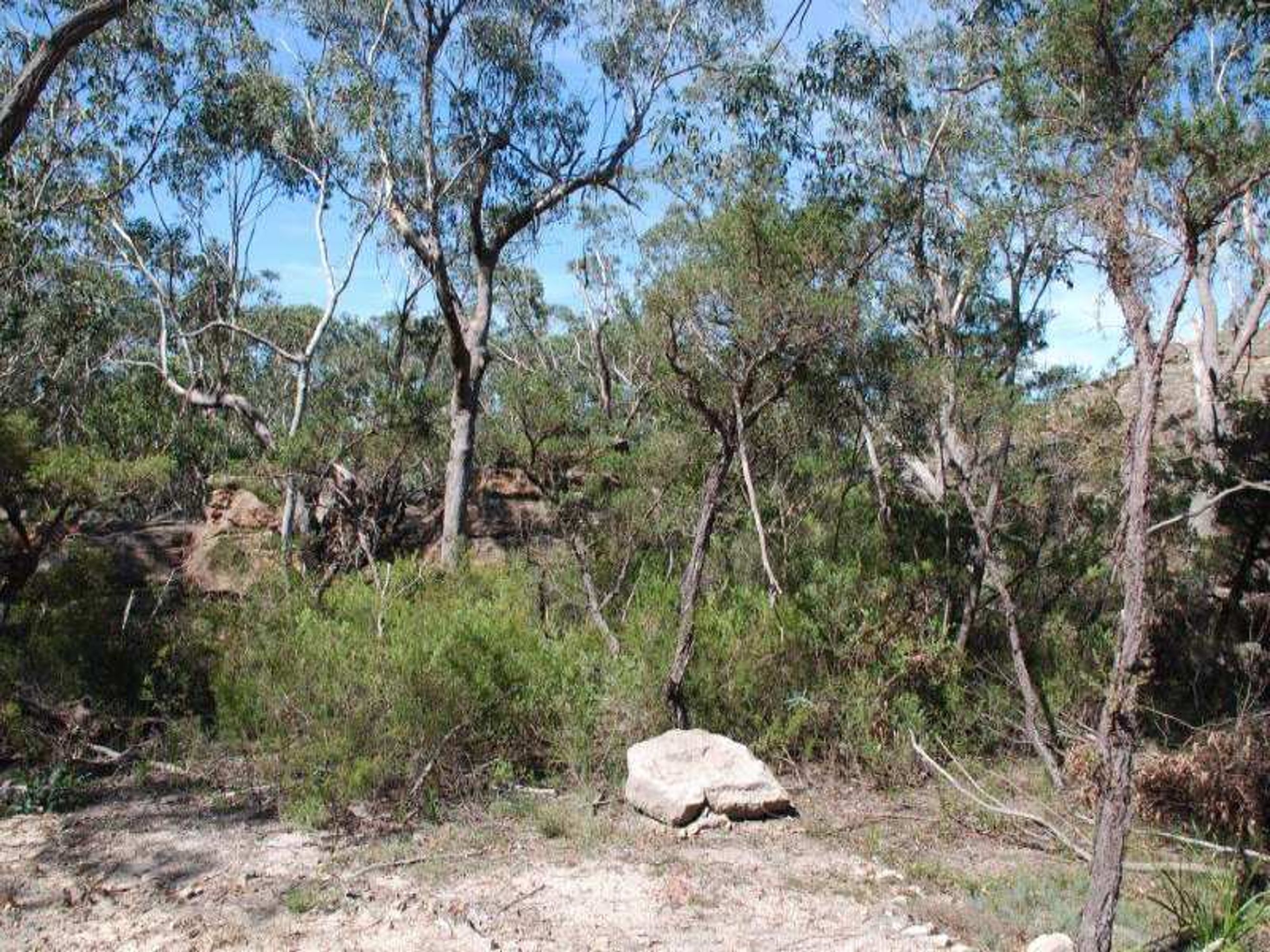 9 The Glen Rd, Mount Victoria - Thumbnail 4
