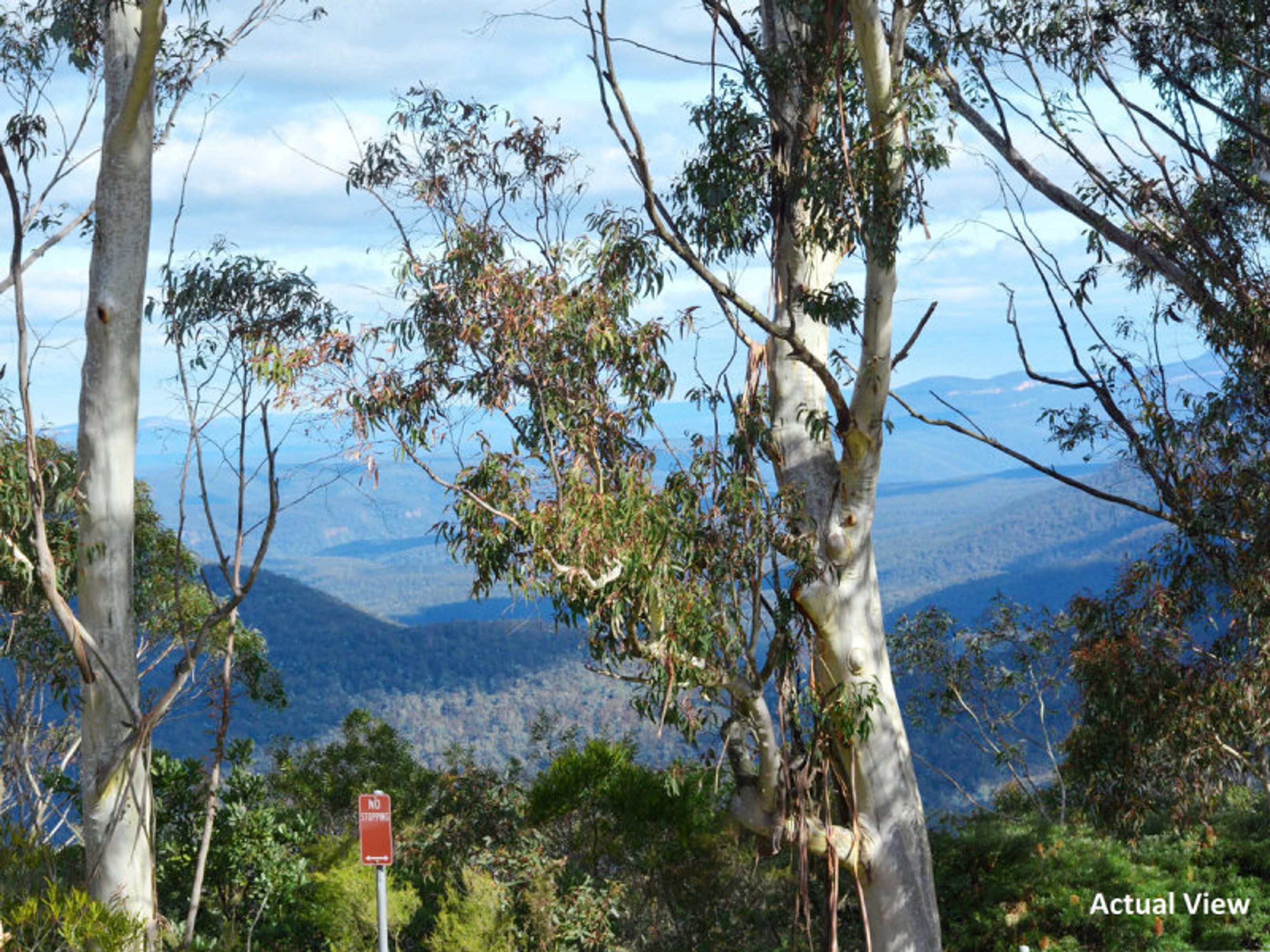 24 Cliff Drive, Katoomba - Thumbnail 3