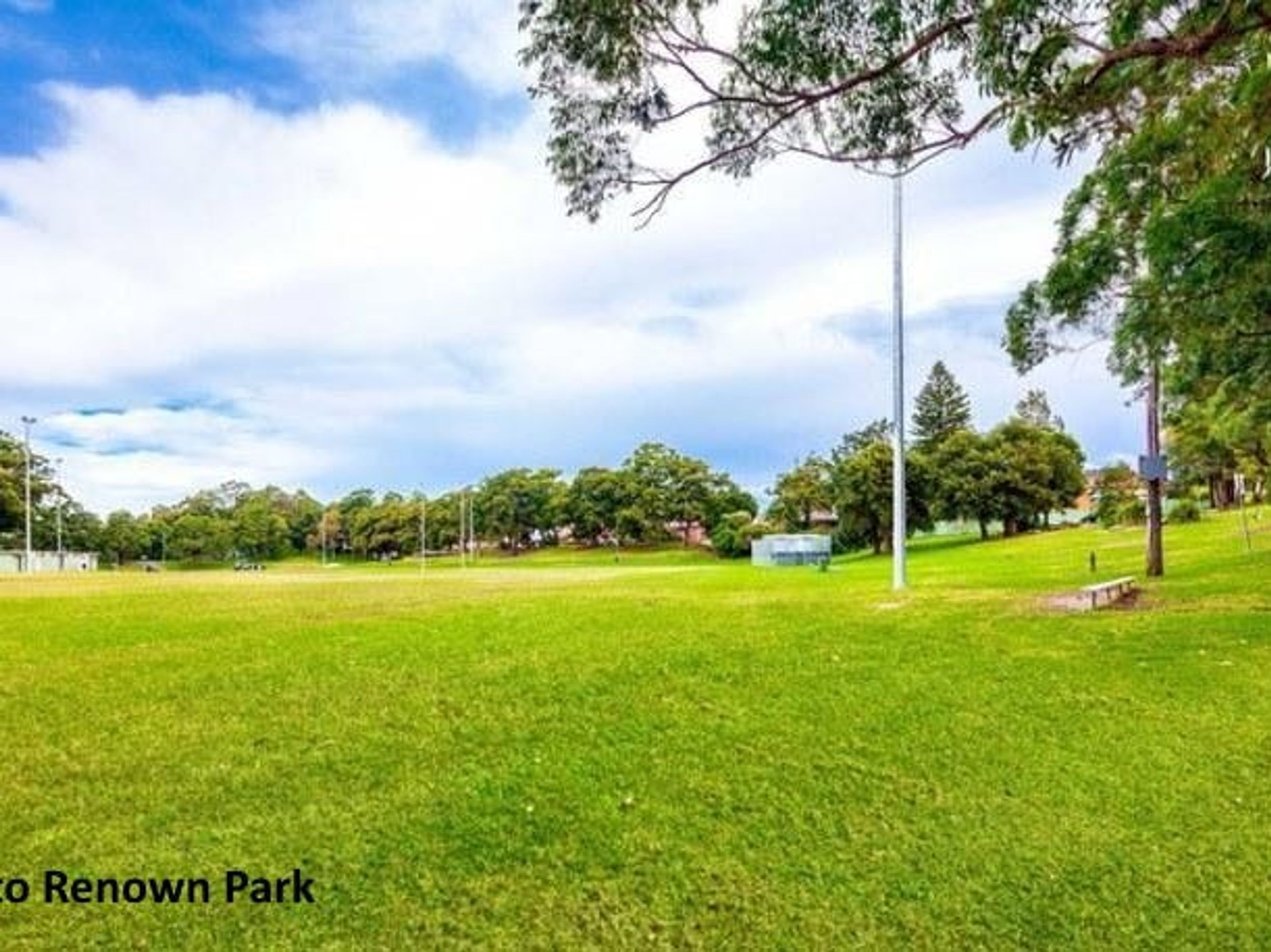 45 Carrington Avenue, Mortdale, Mortdale - Thumbnail 3