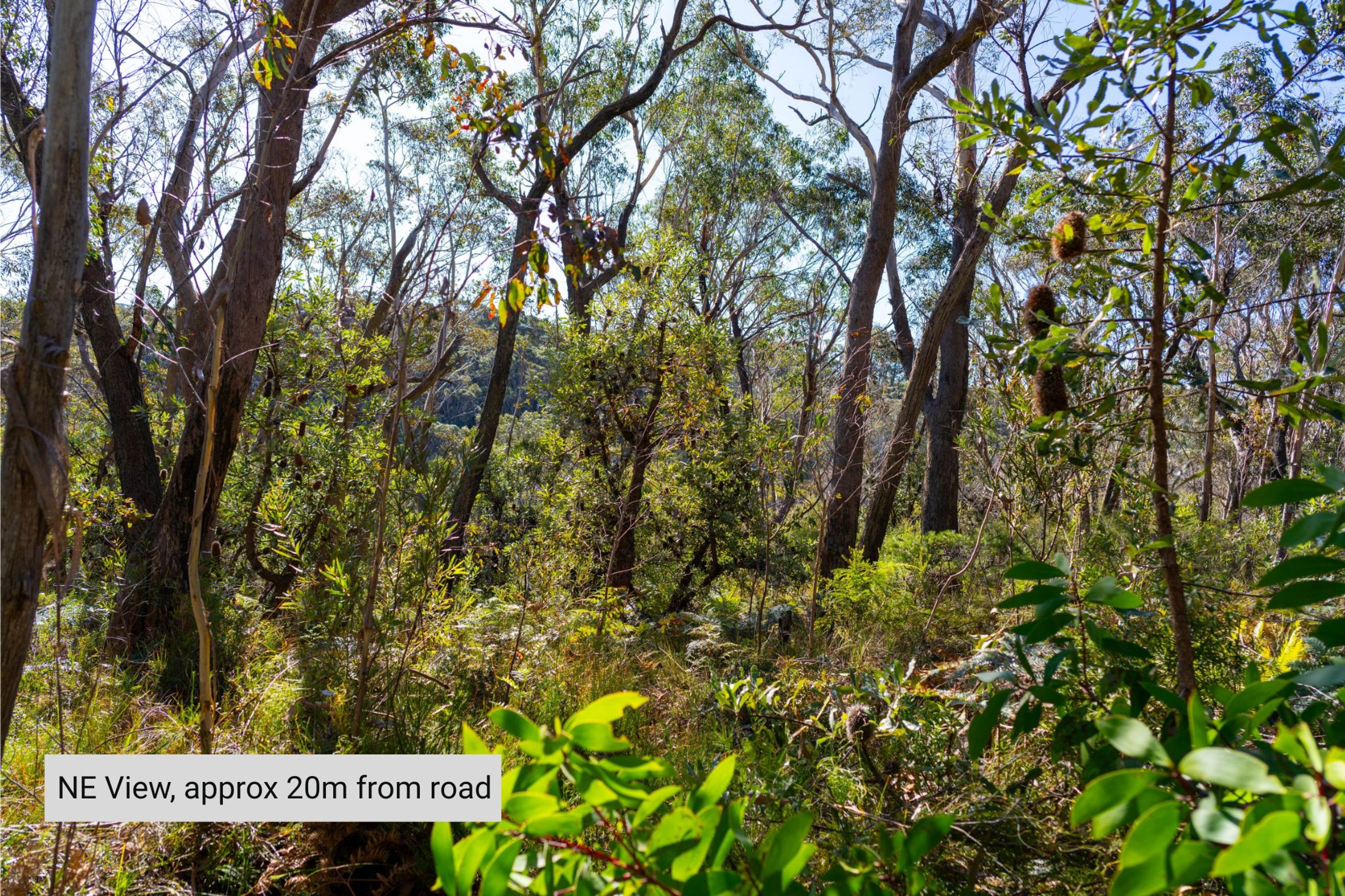 21 Explorers Road, Katoomba - Thumbnail 4