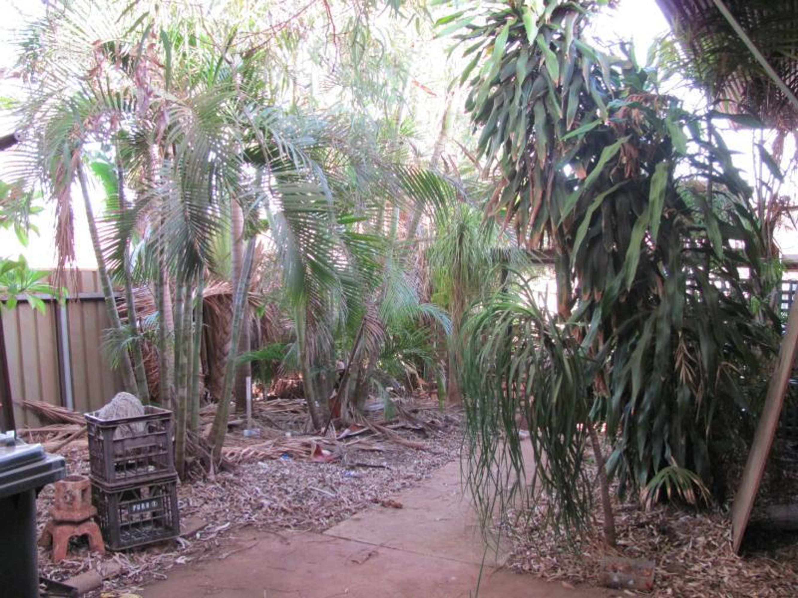 29 Moore Street, Port Hedland, Port Hedland - Thumbnail 6