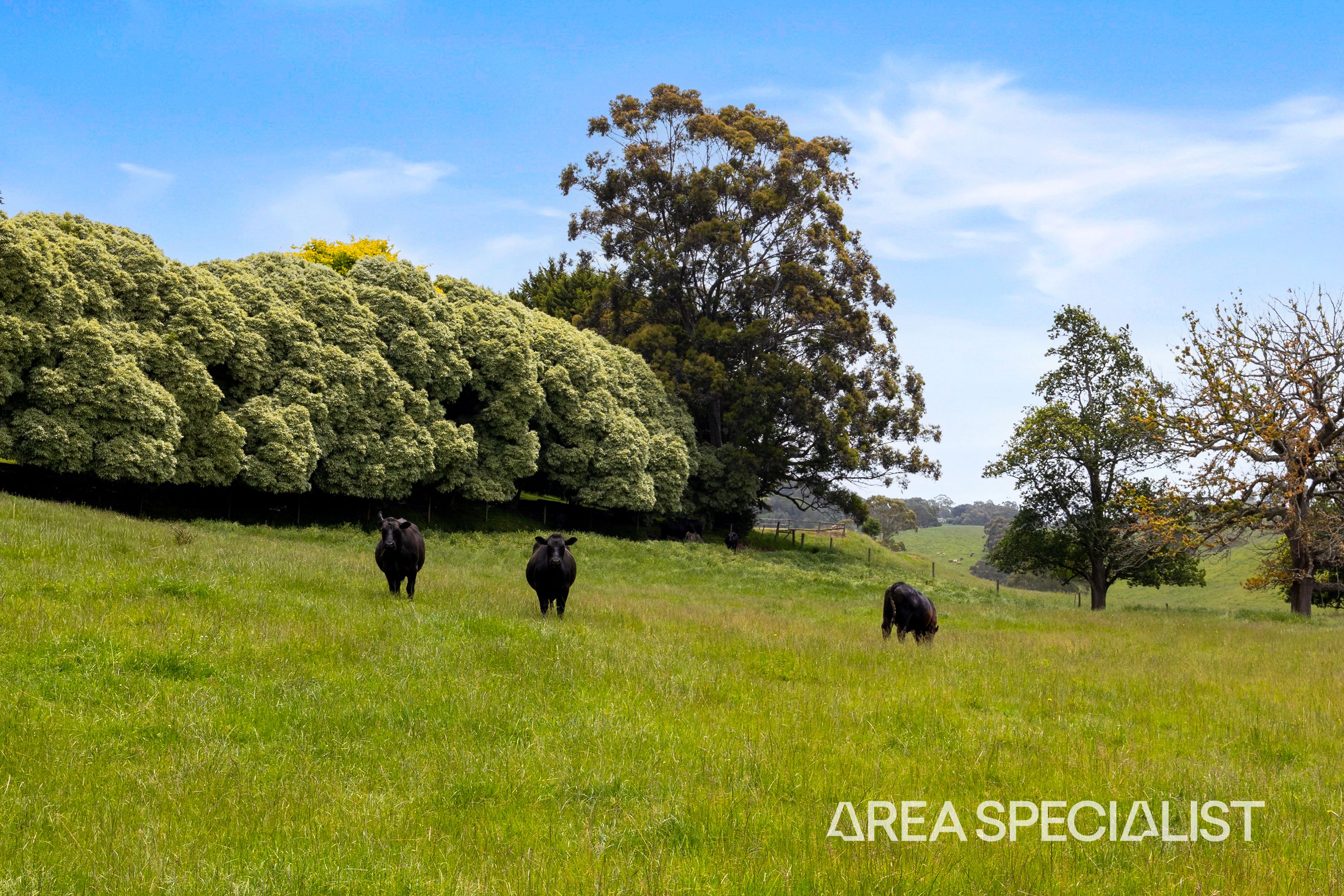 45 Stuart Street, Korumburra - Thumbnail 4