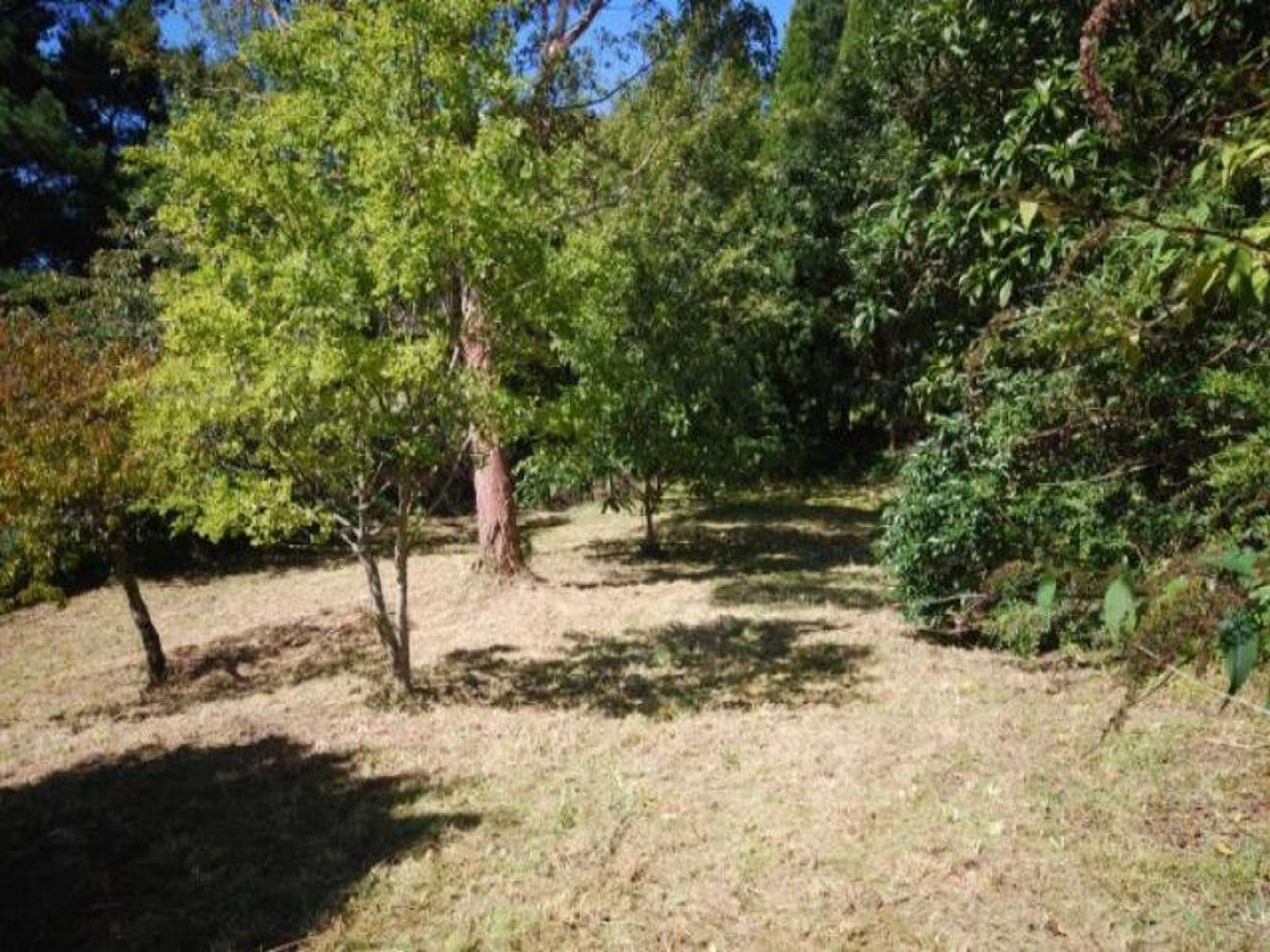 129-131 Waratah St, Katoomba - Thumbnail 3