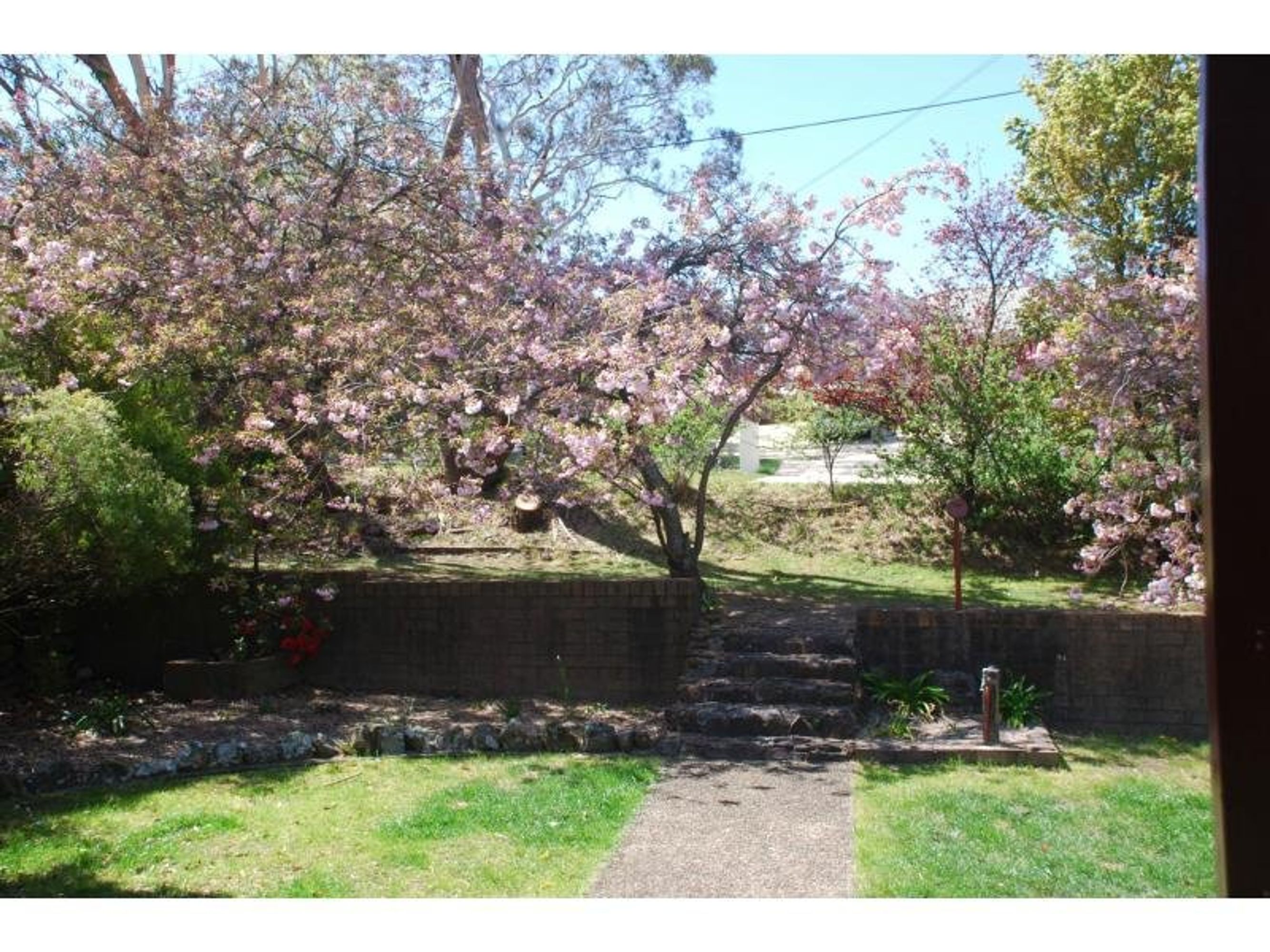 69 Narrow Neck Road, Katoomba - Thumbnail 7