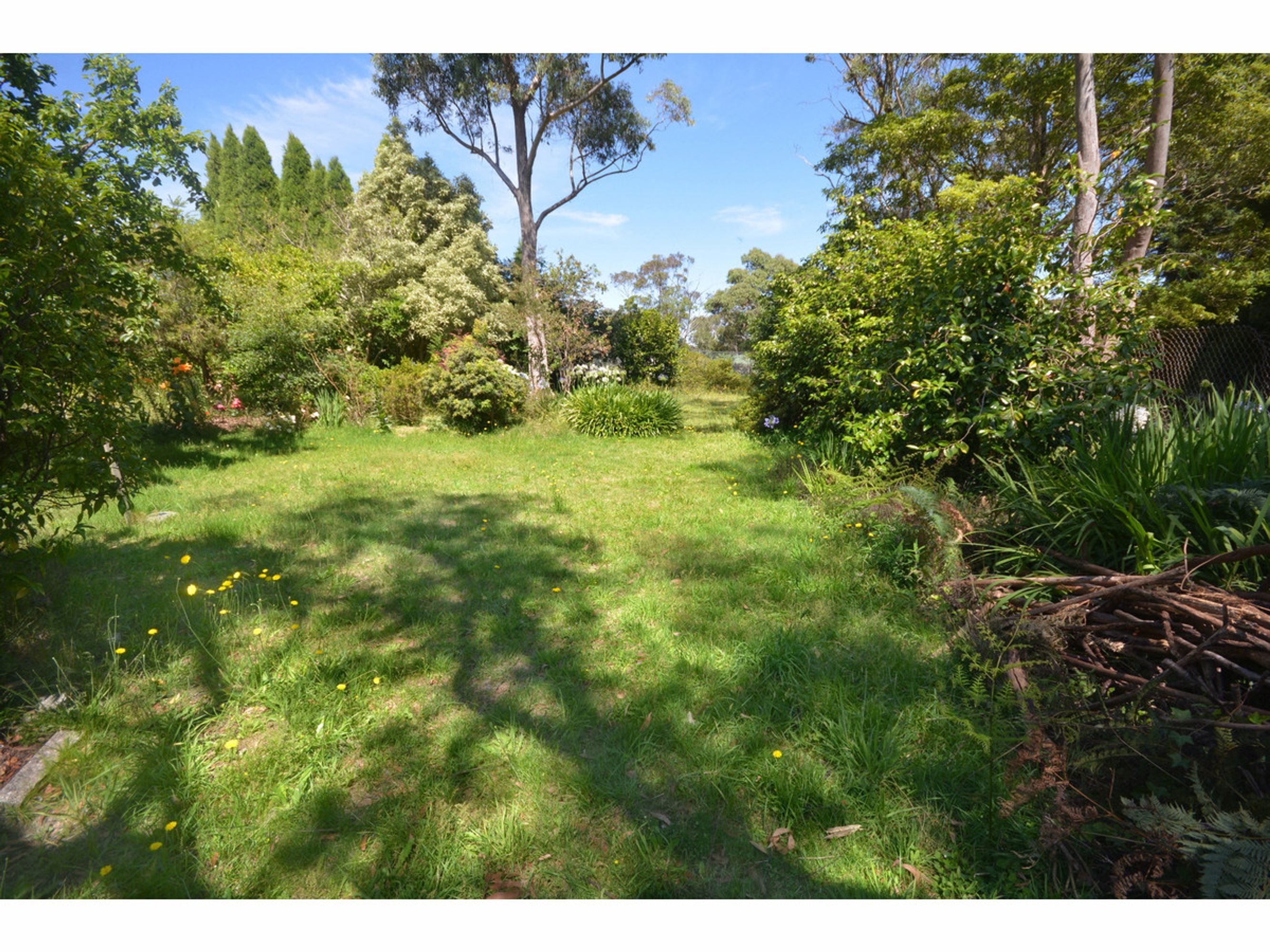 12 Woodlands Road, Katoomba - Thumbnail 3