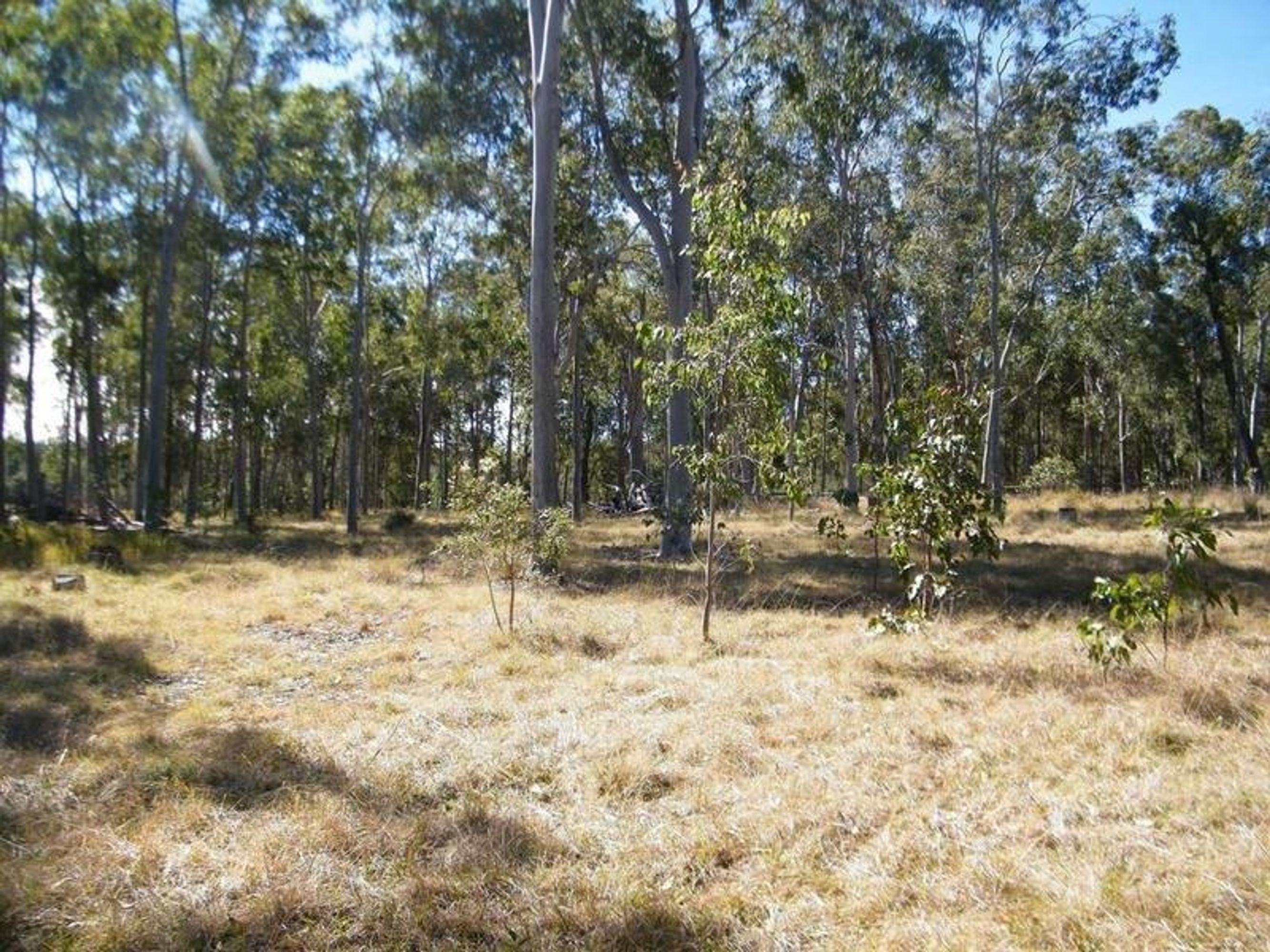 105 Casson Creek Road, Lavadia - Thumbnail 5