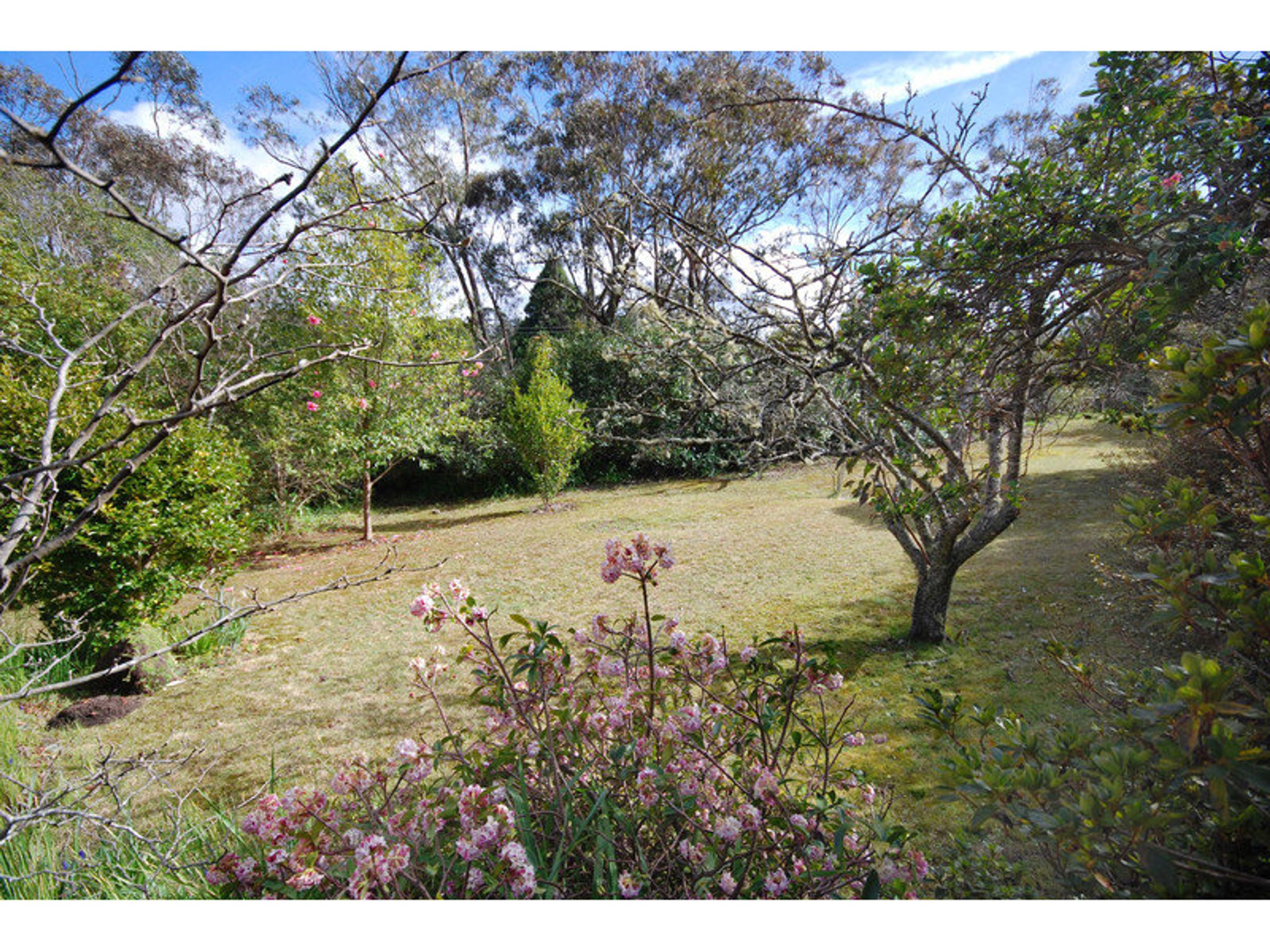 283 Katoomba Street, Katoomba - Thumbnail 2