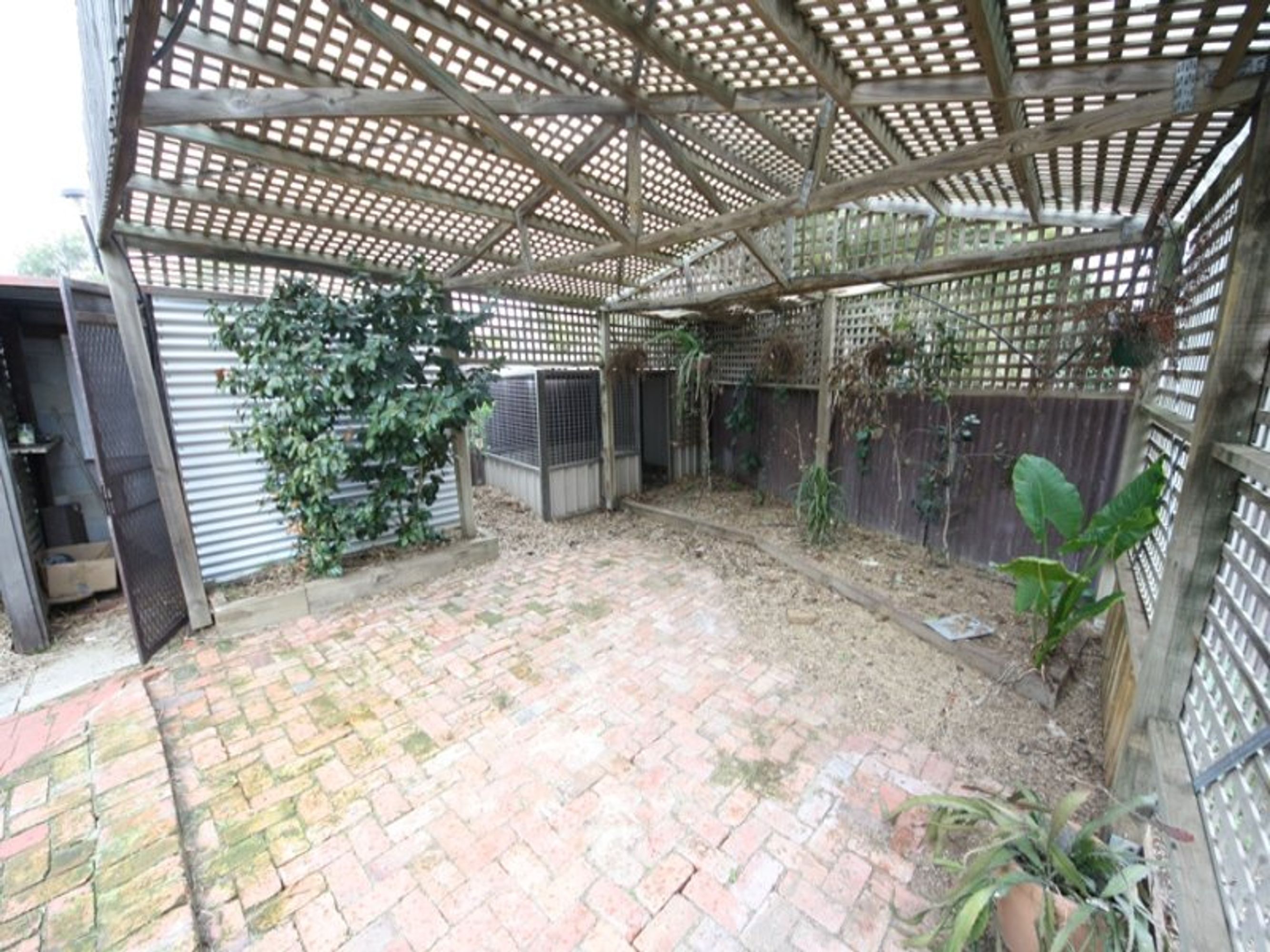 3 Twycross Court, Horsham, VIC 3400, Horsham - Thumbnail 6