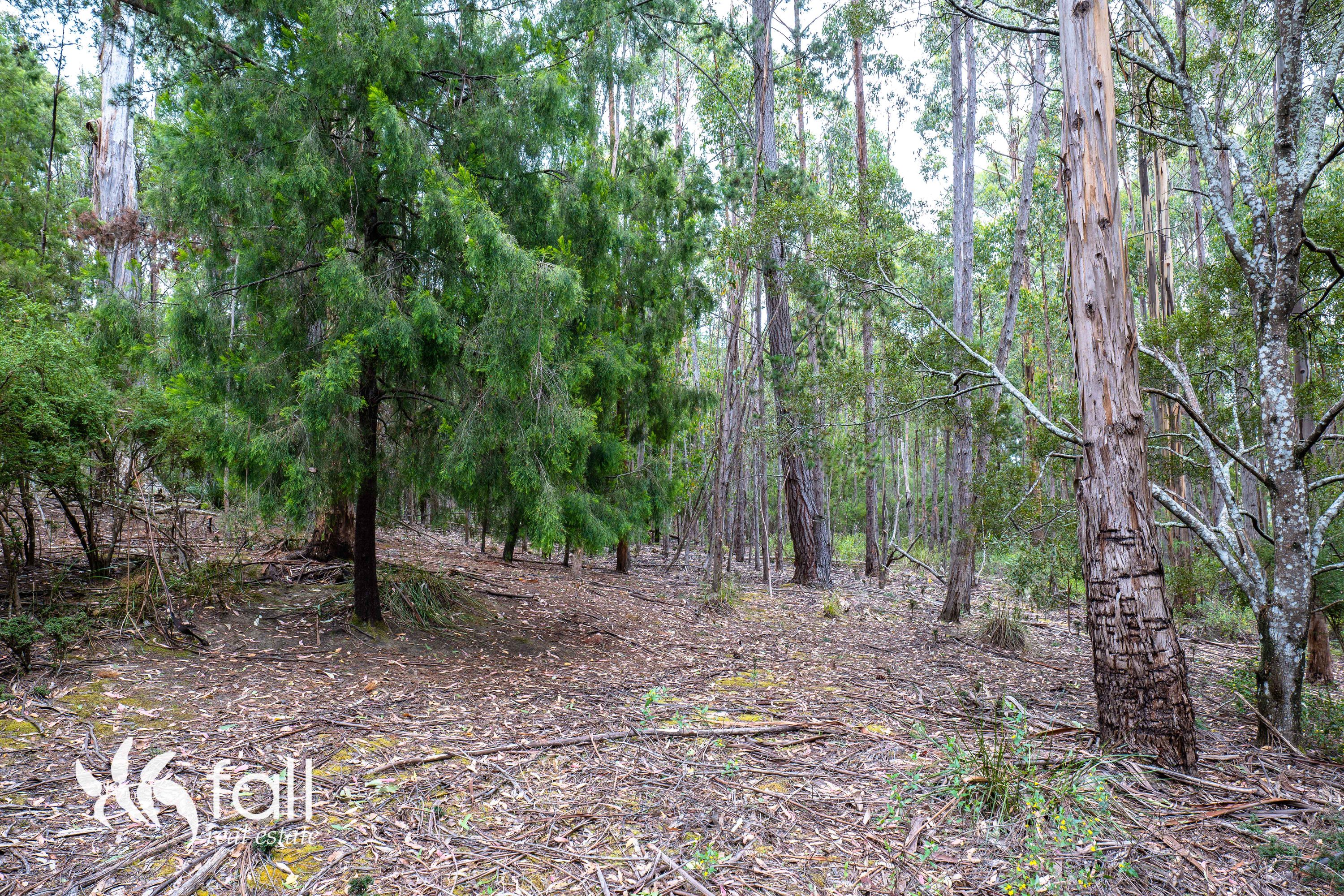159 Cloudy Bay Road, Lunawanna - Image 1