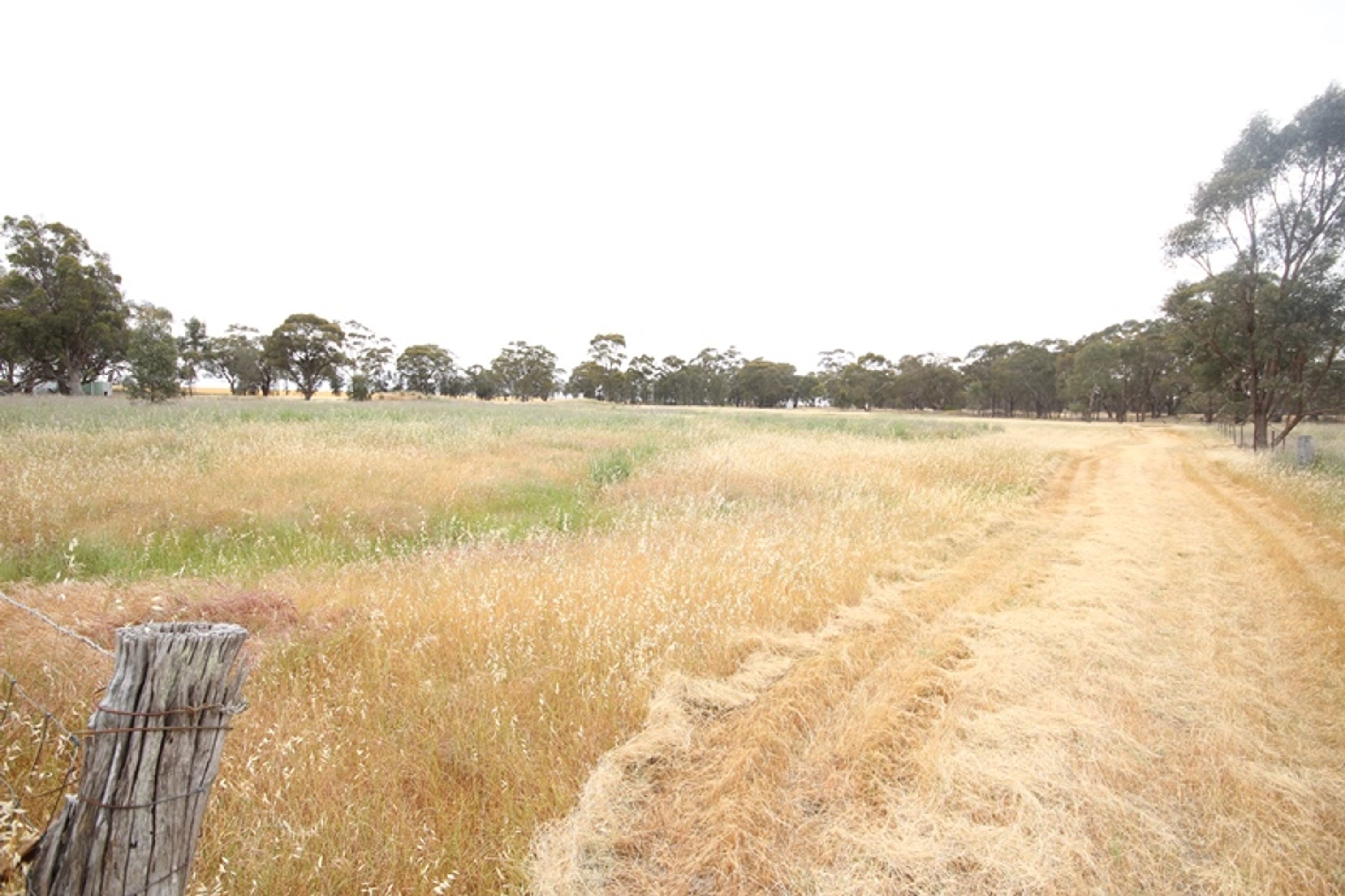 41 Wonwondah-Toolondo Road, Wonwondah VIC 3401, Wonwondah - Thumbnail 4