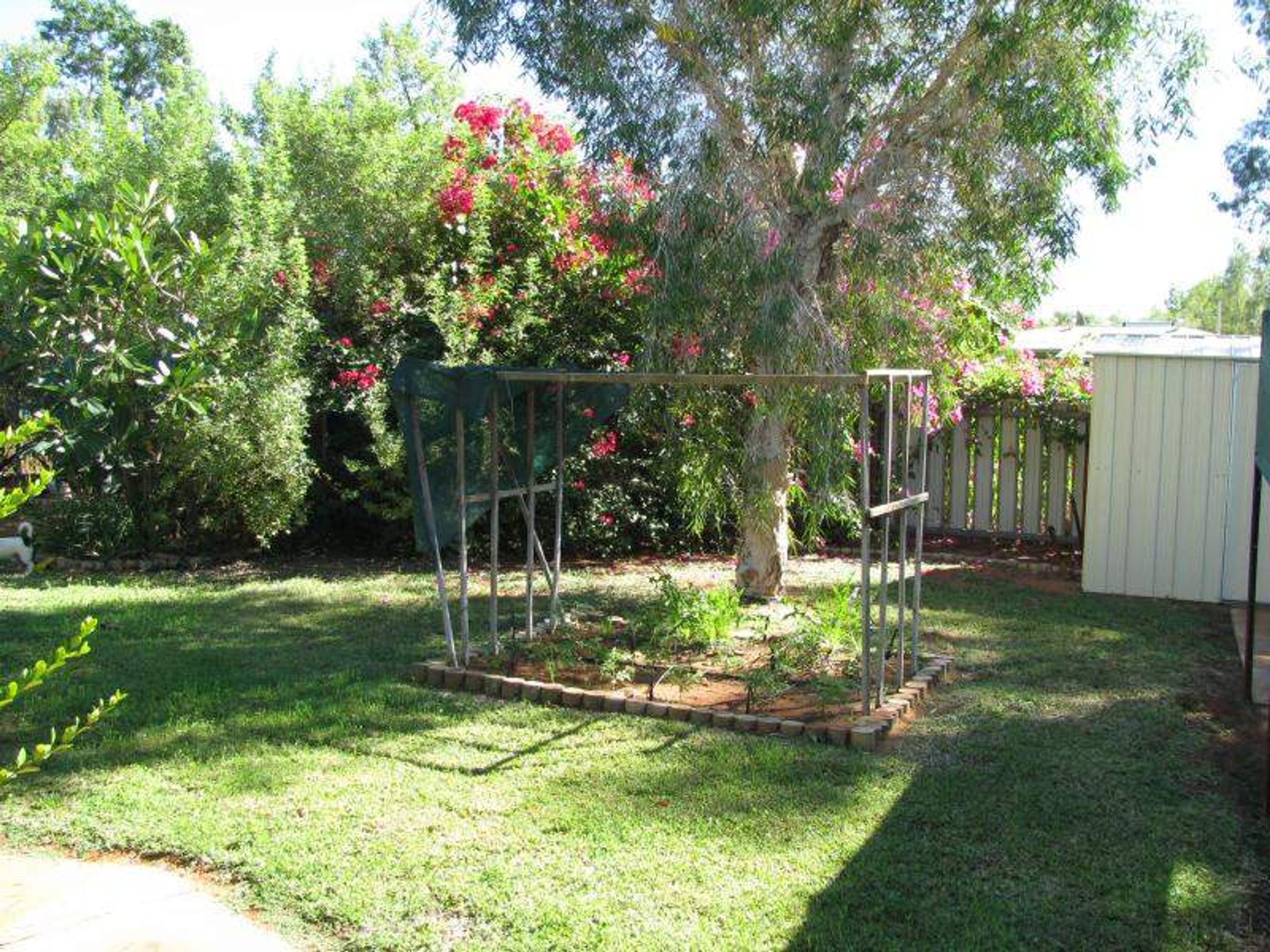 33 Somerset Crescent, South Hedland, South Hedland - Thumbnail 6