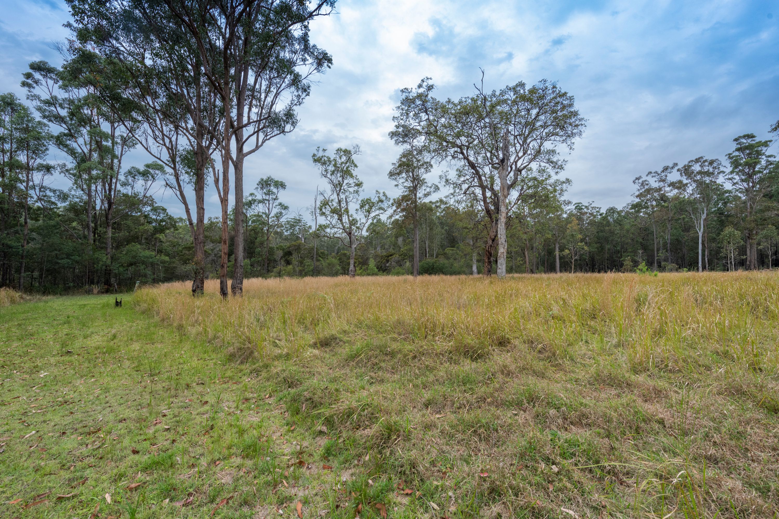 391 Dinjerra Road, Glenugie - Thumbnail 8