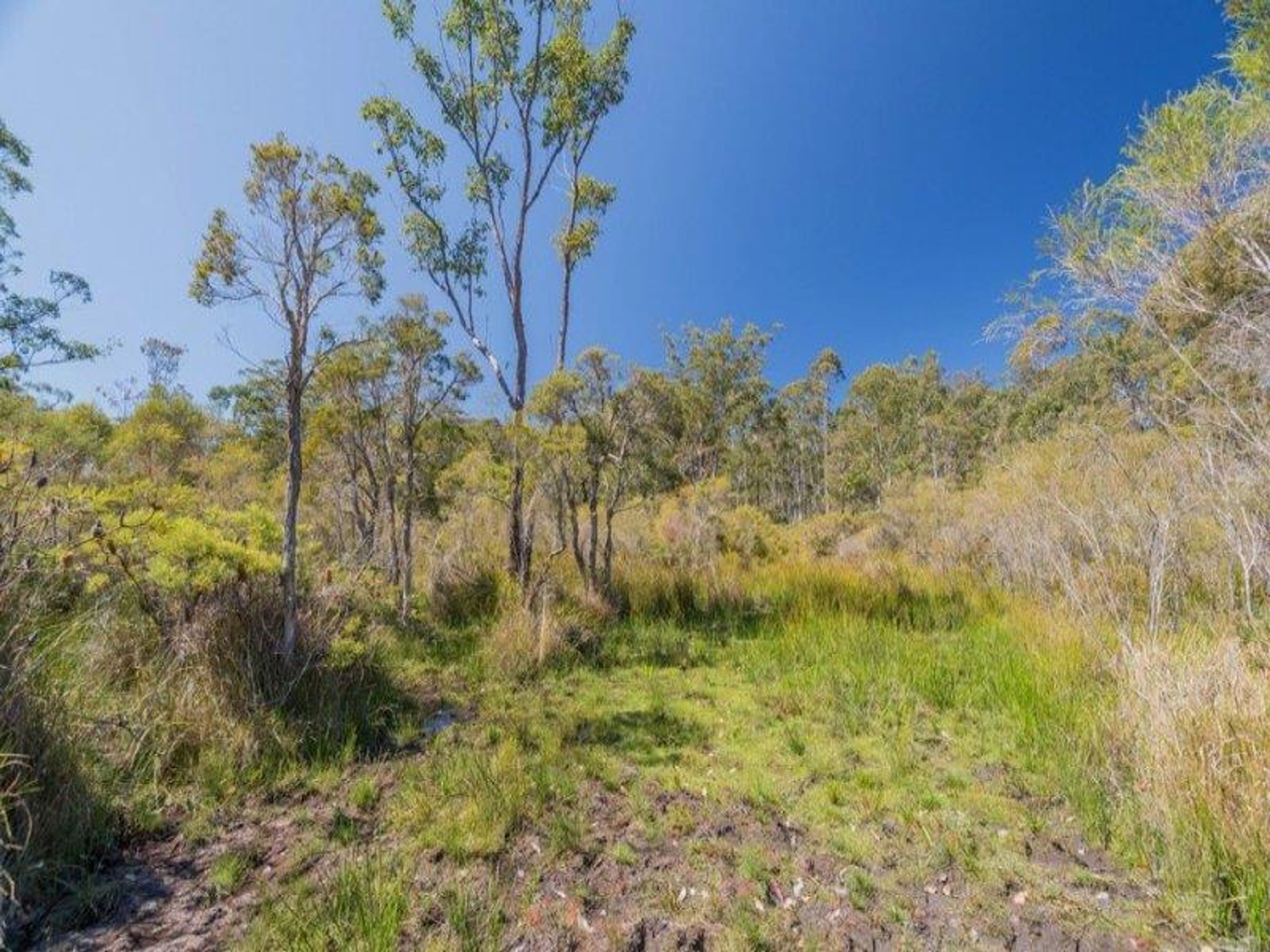 389 Wooli Road, Pillar Valley - Thumbnail 7