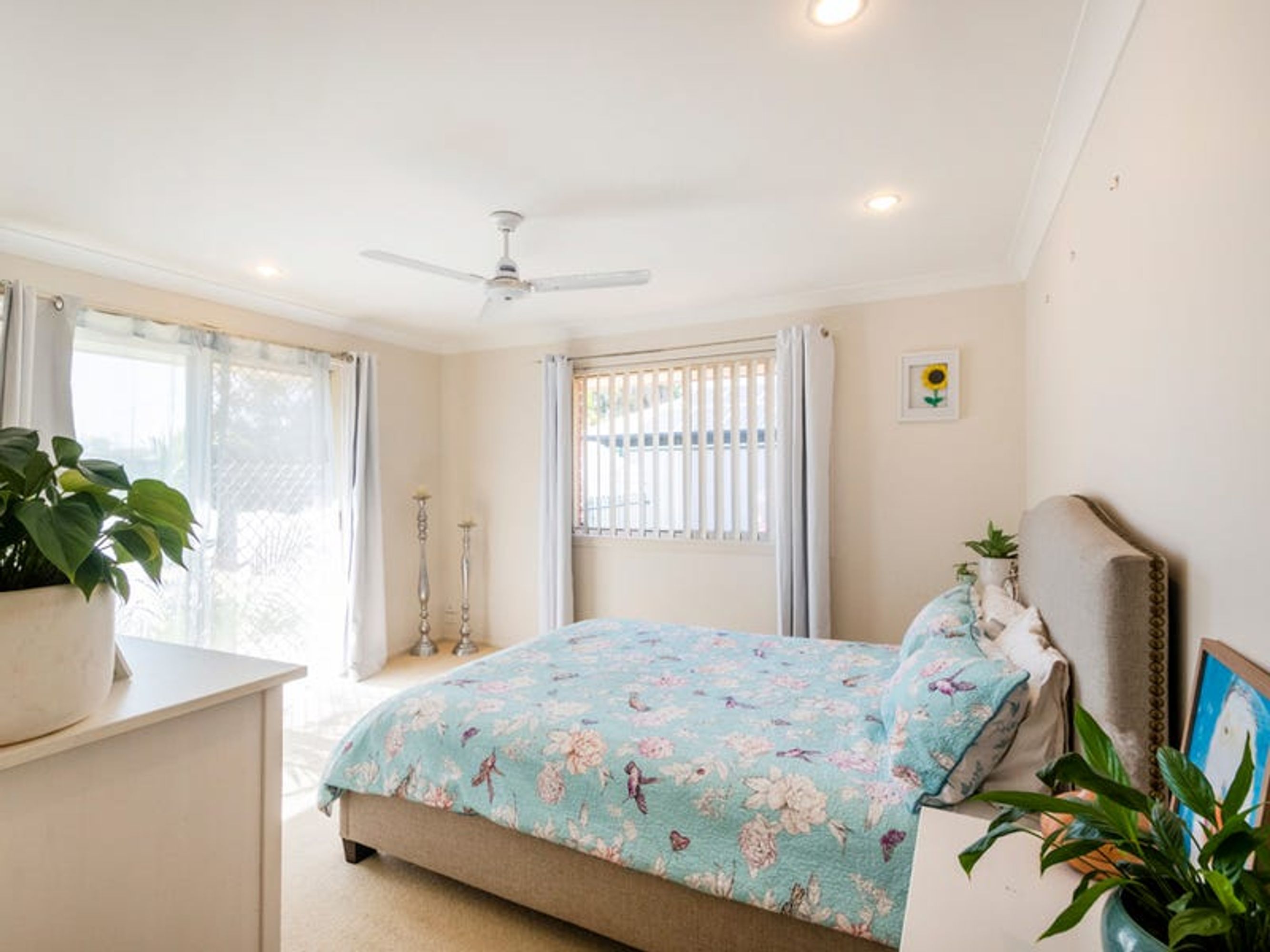 26 Powell Street, Grafton - Thumbnail 8