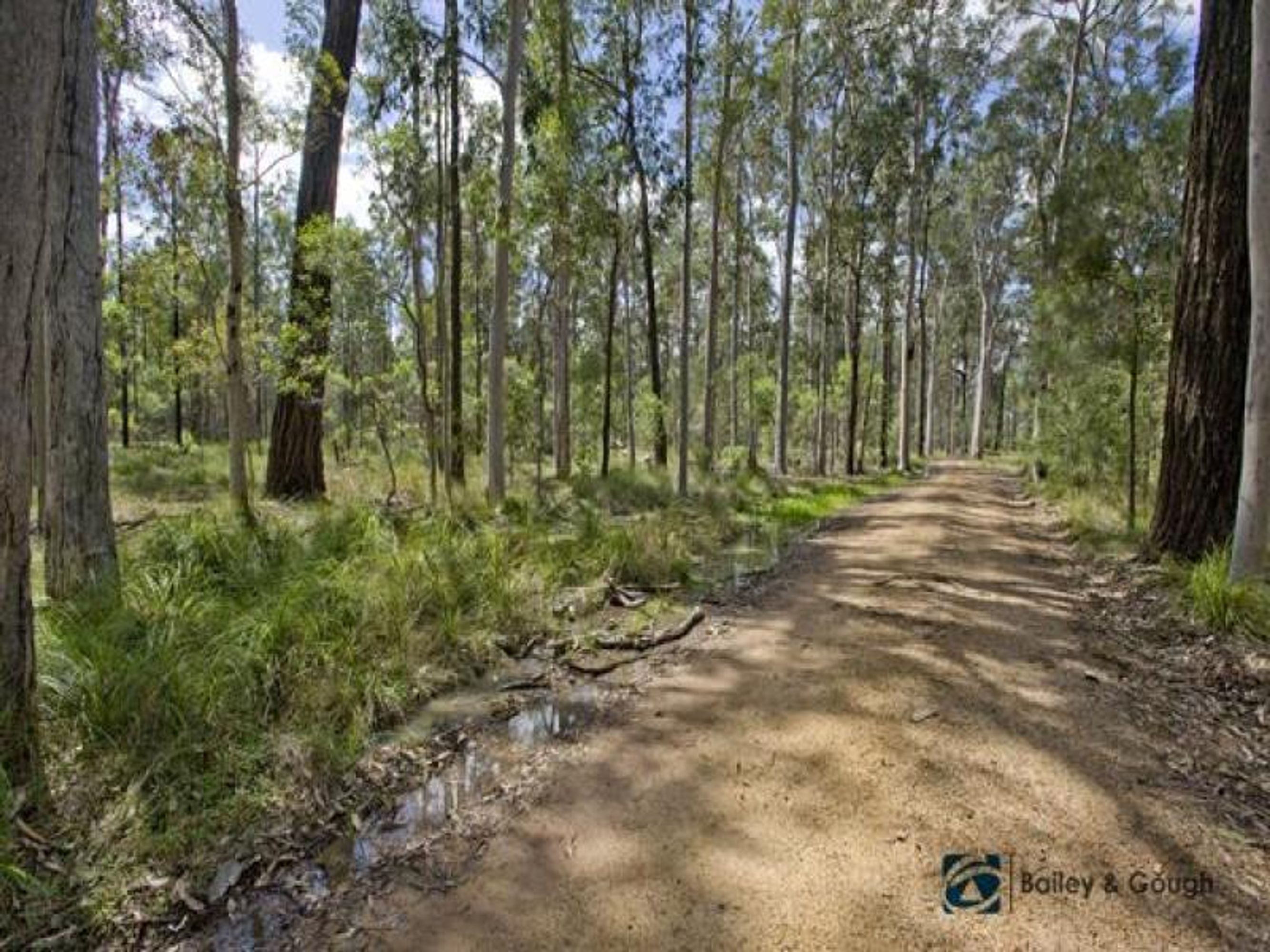 392 Sunnyside Road, Glenugie - Thumbnail 3