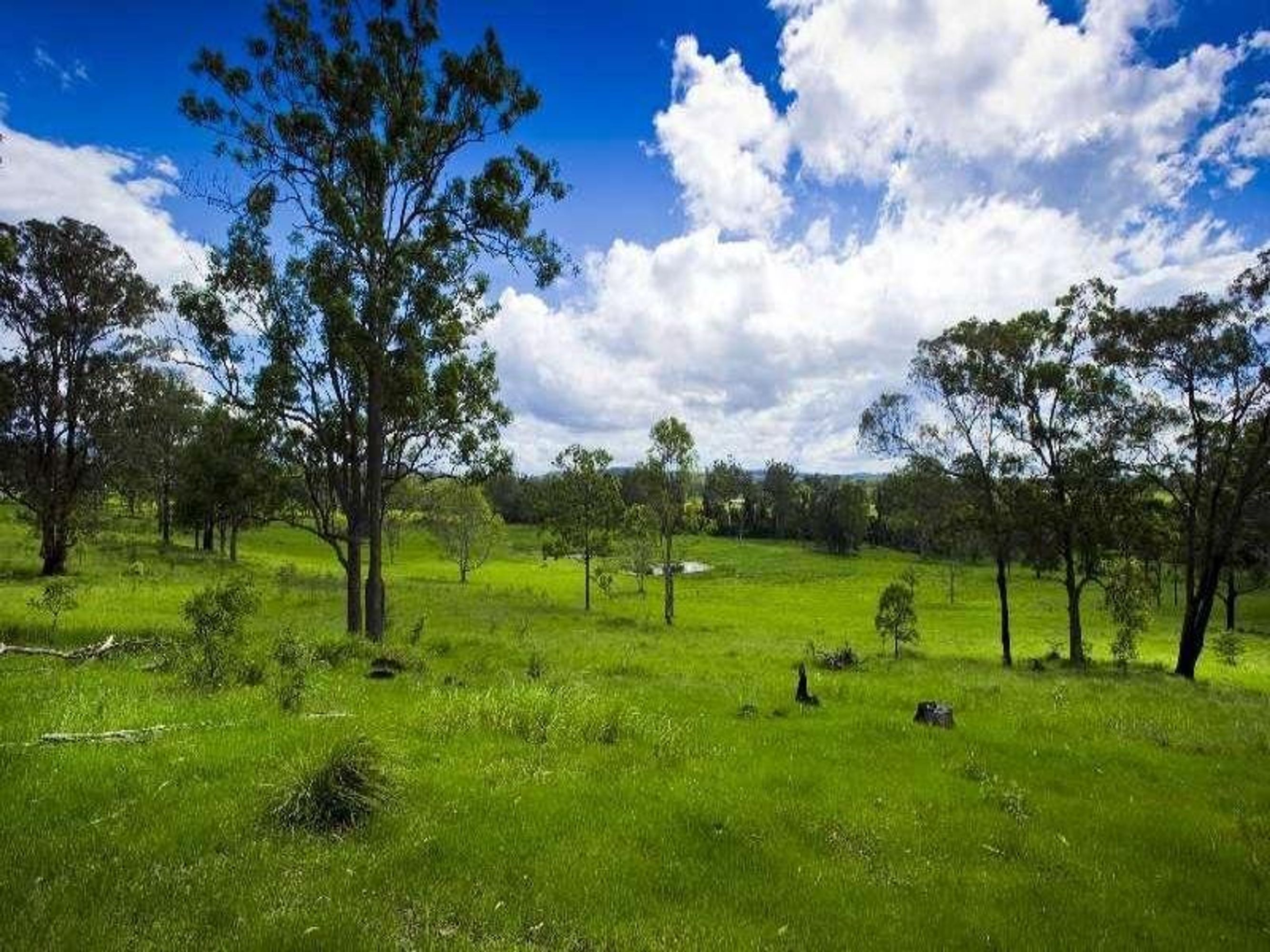 Kangaroo Creek Road, Coutts Crossing - Thumbnail 3