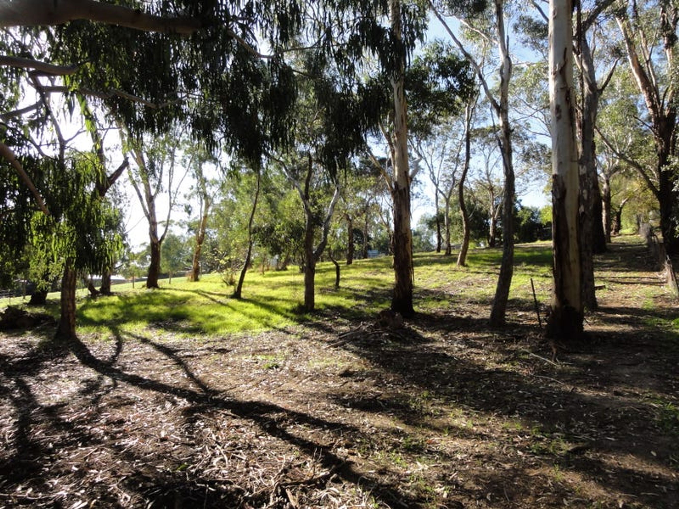 28 Marianna Street, Echunga, SA 5153, Echunga - Thumbnail 5