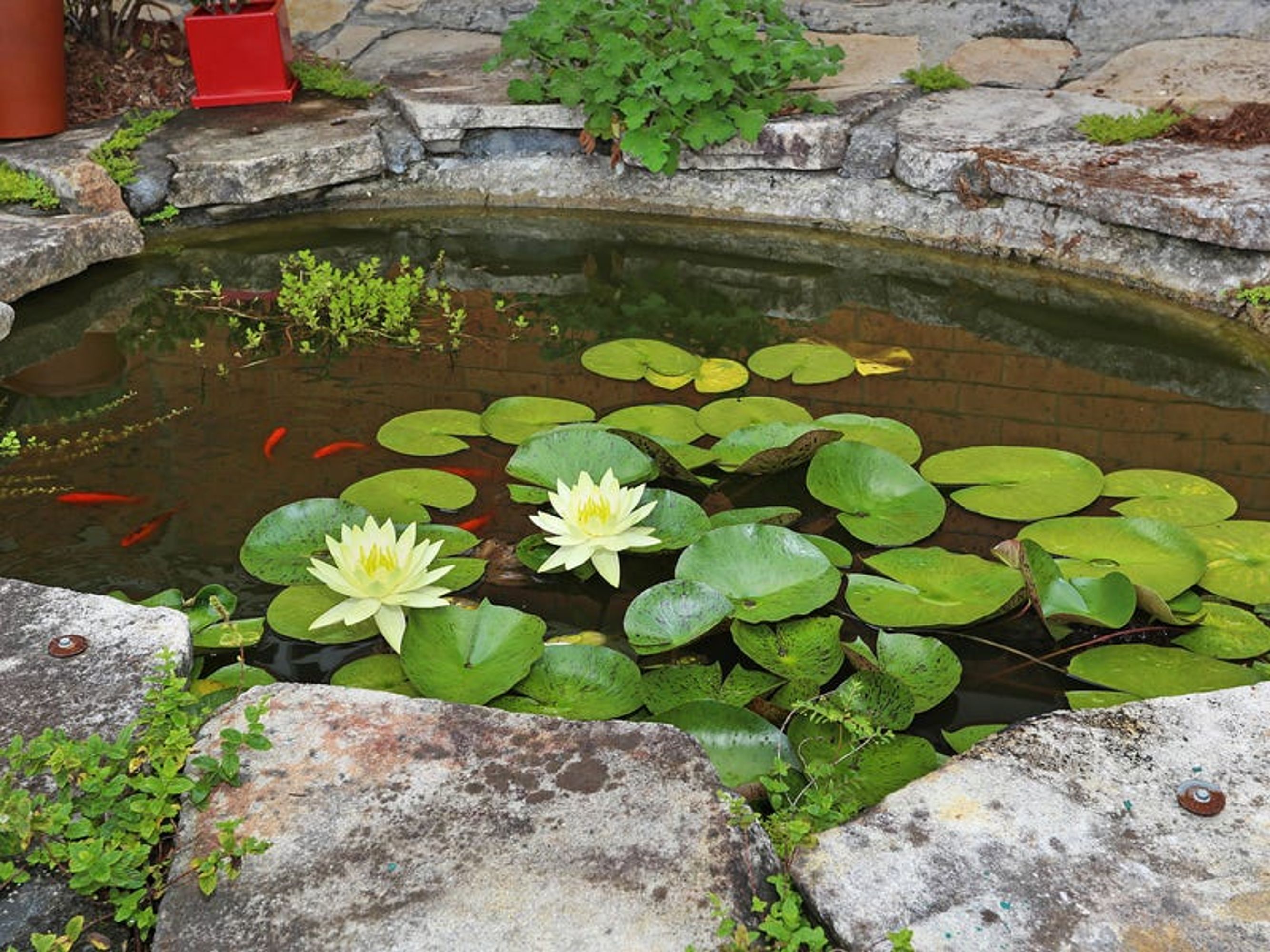 1 Sunart Lane, Maclean - Thumbnail 5