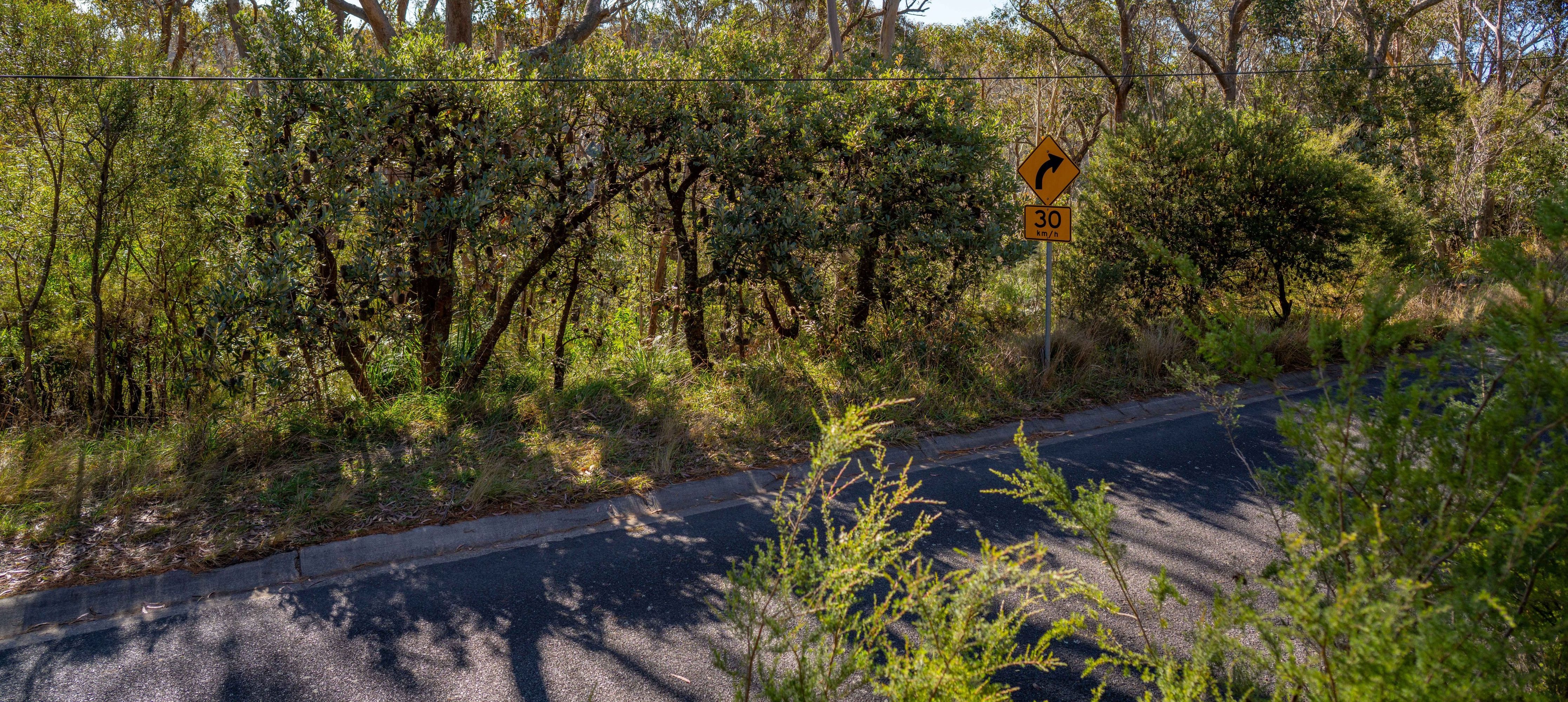 21 Explorers Road, Katoomba - Thumbnail 2