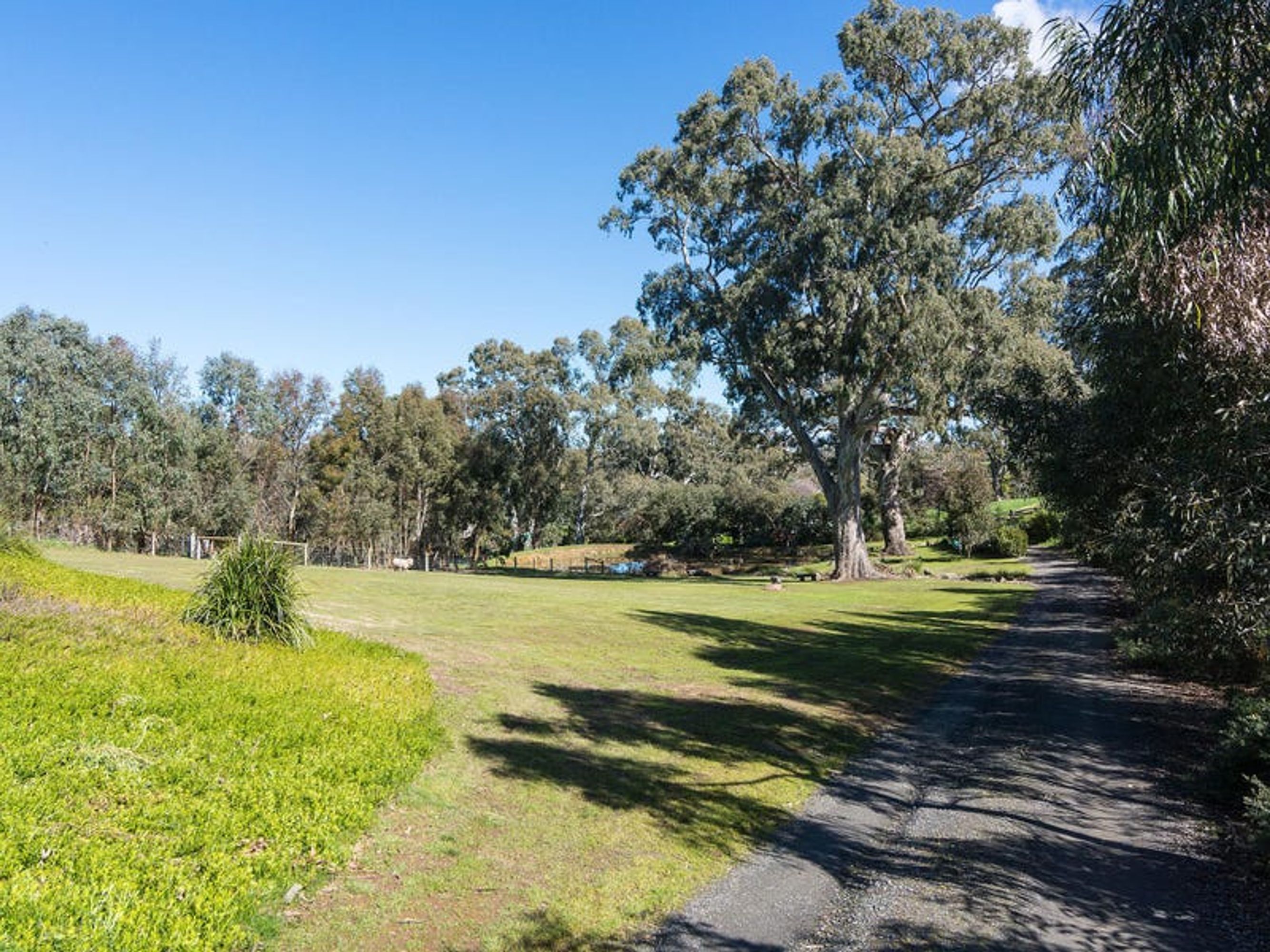 28 Joseph Road, Blakiston, SA 5250, Blakiston - Thumbnail 4