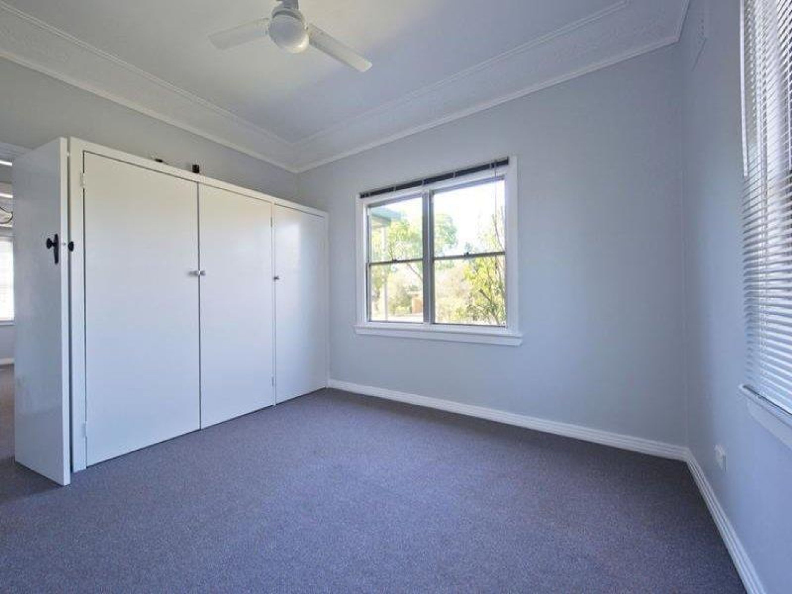 244 Bacon Street, Grafton - Thumbnail 8