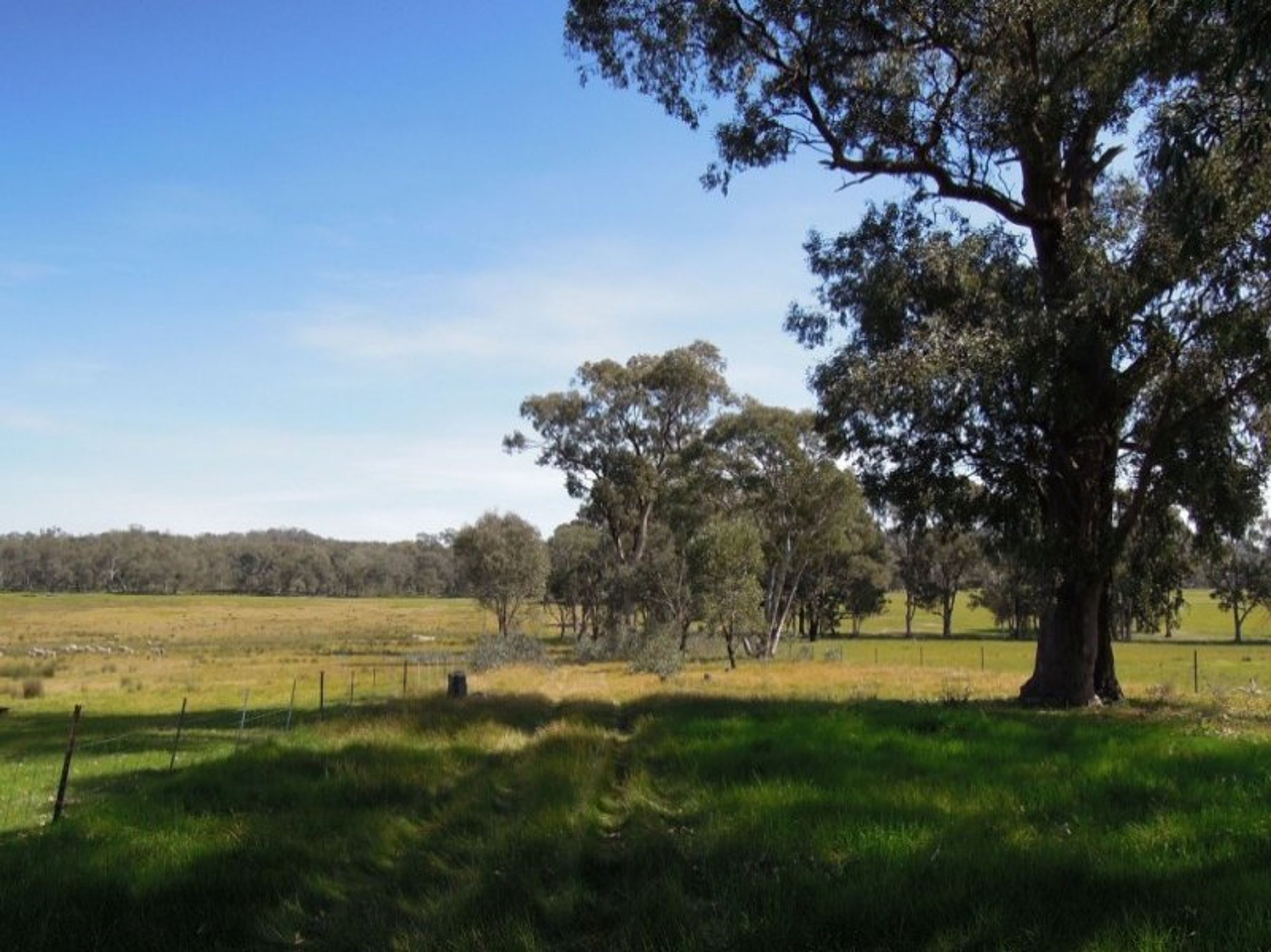 chesney vale, Chesney Vale - Thumbnail 6