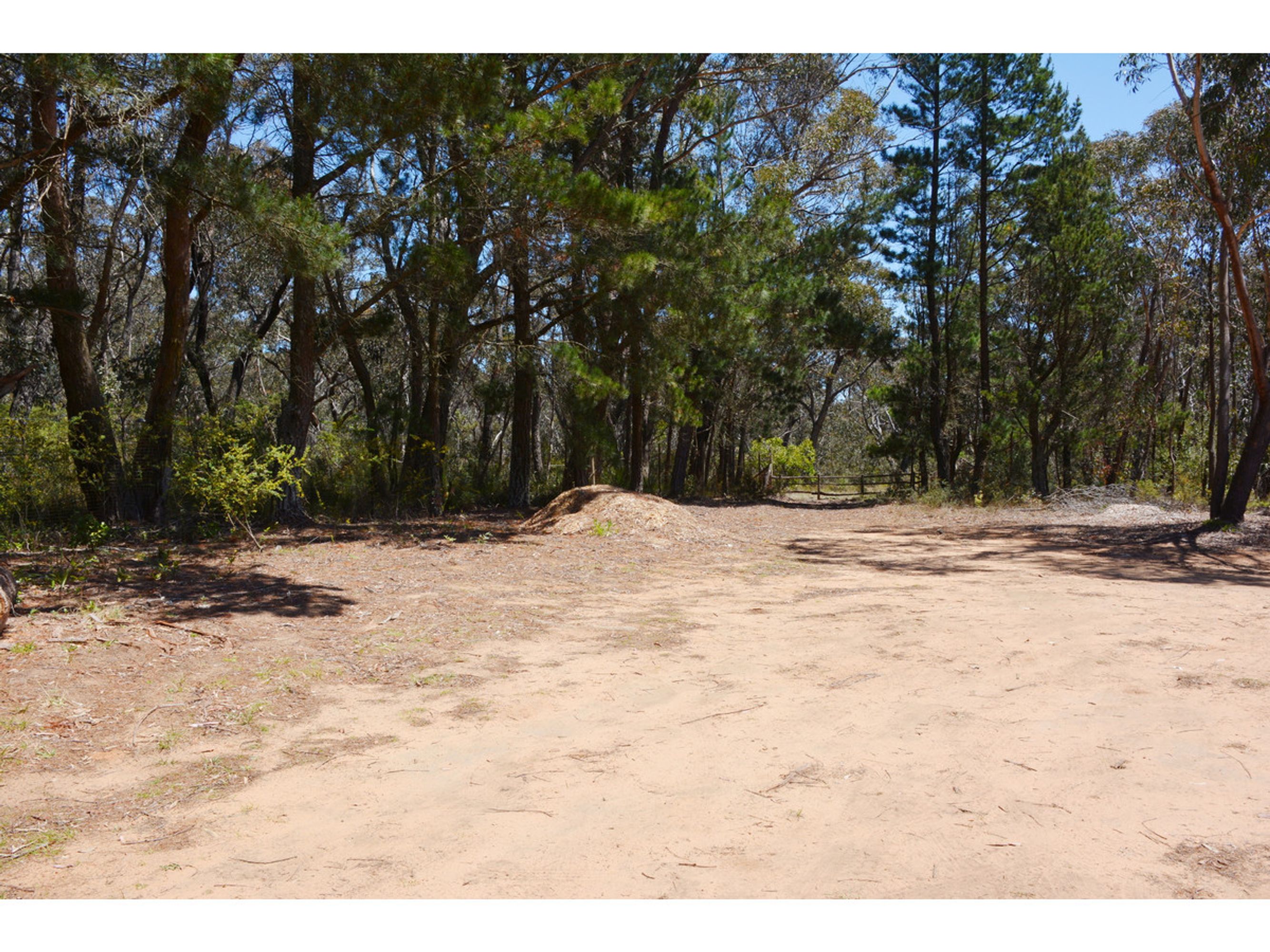 49 Hill View Road, Katoomba - Thumbnail 3