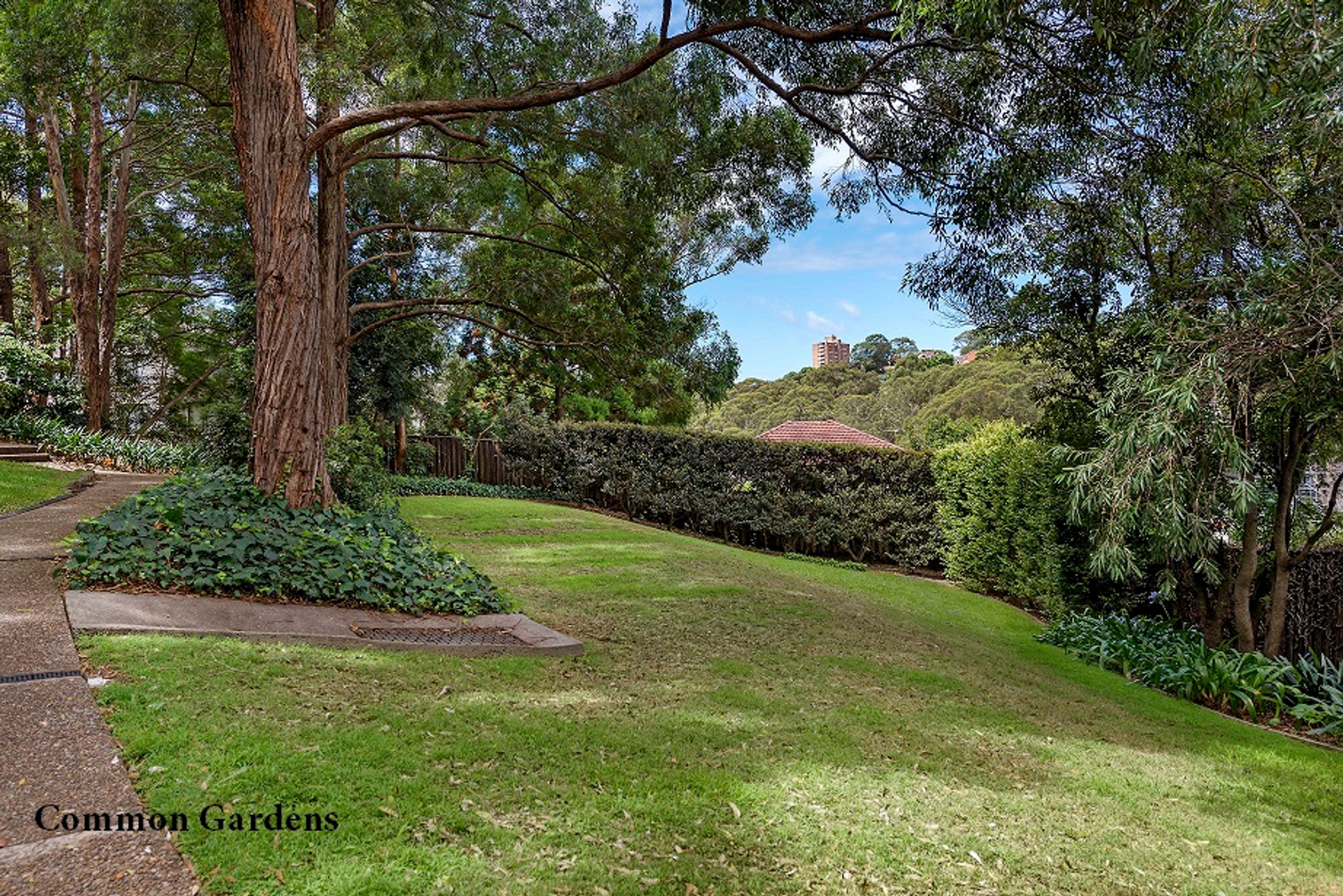 79/25A Marks Street, Naremburn - Thumbnail 3