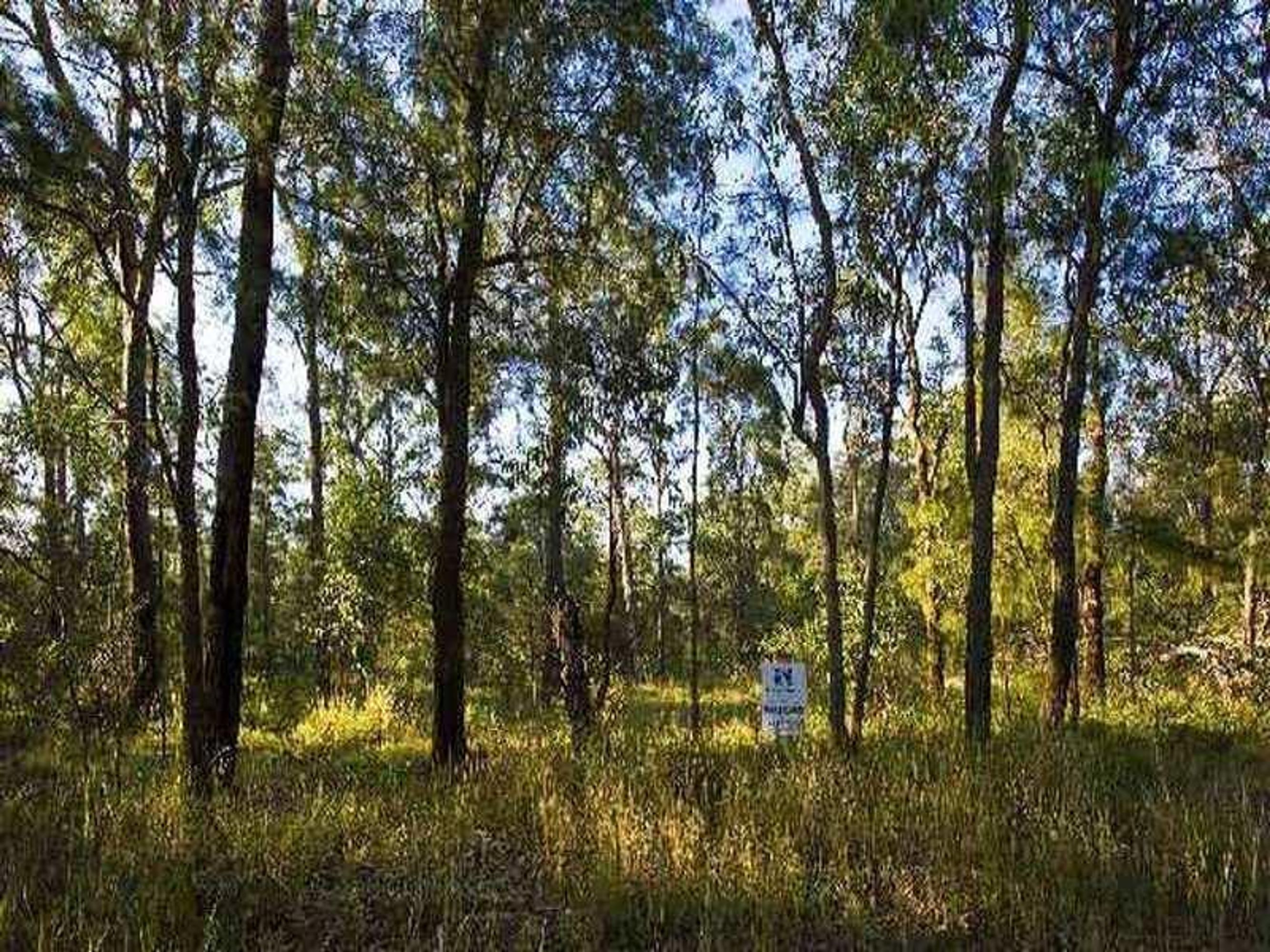 15 Luthers Road, Halfway Creek - Thumbnail 4