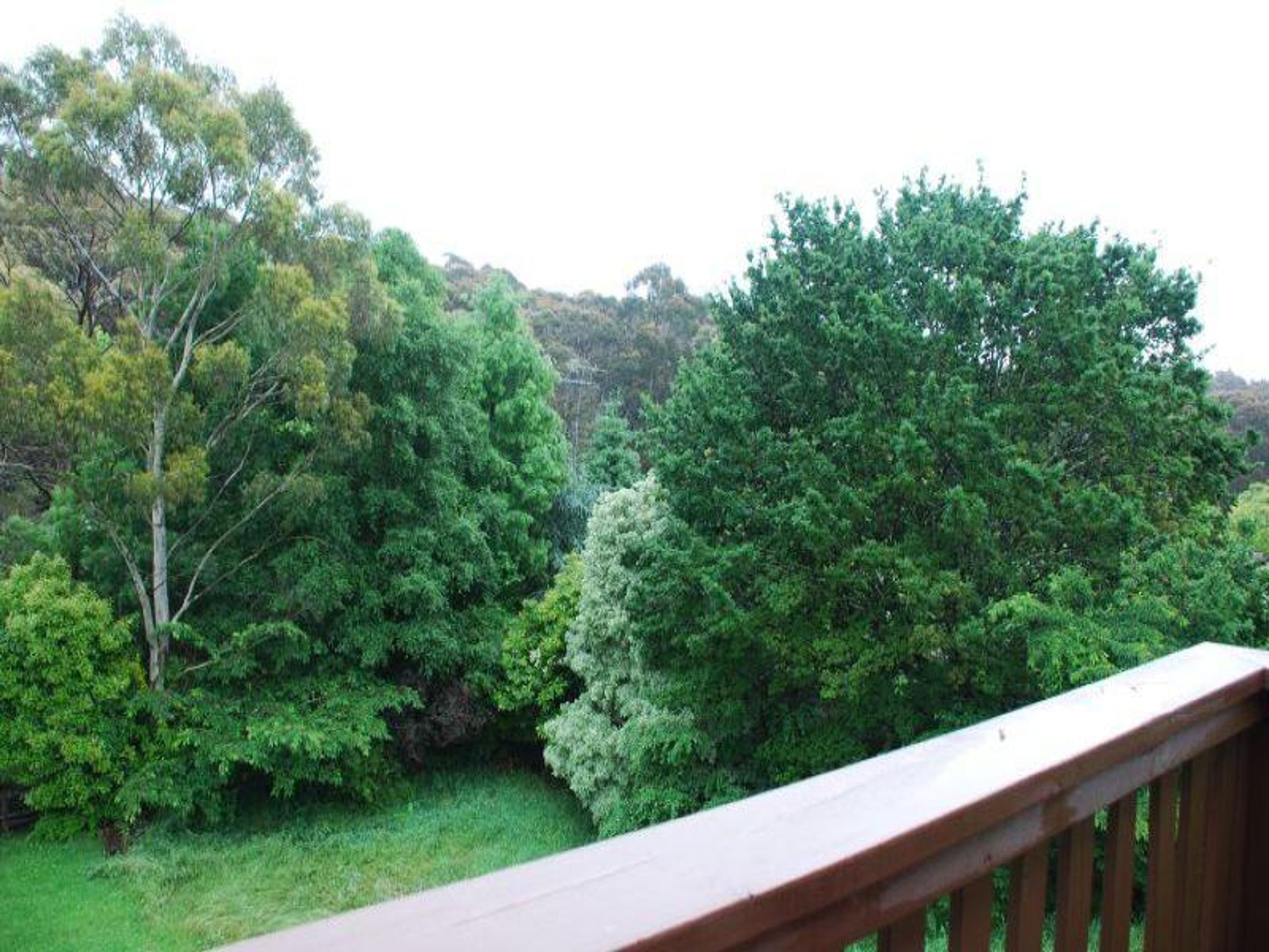 24 Trow Ave, Katoomba - Thumbnail 3