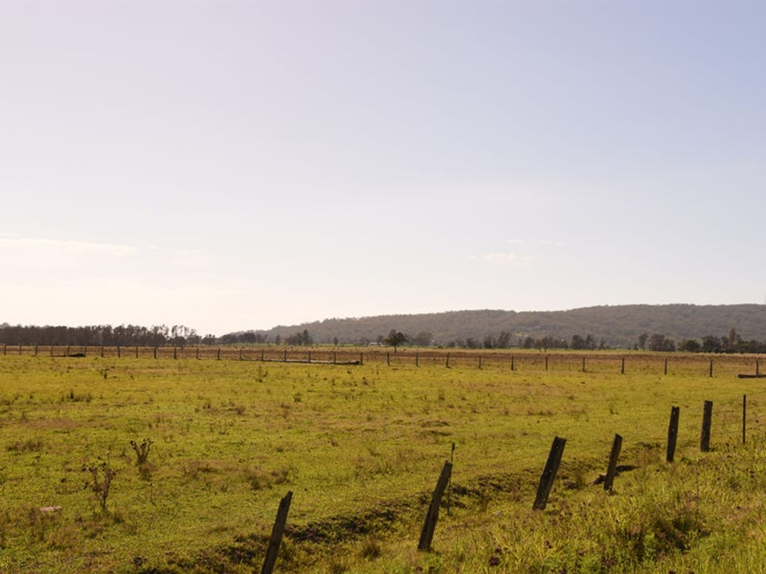 Lot 21, 470 Kings Creek Road, Lawrence - Thumbnail 6