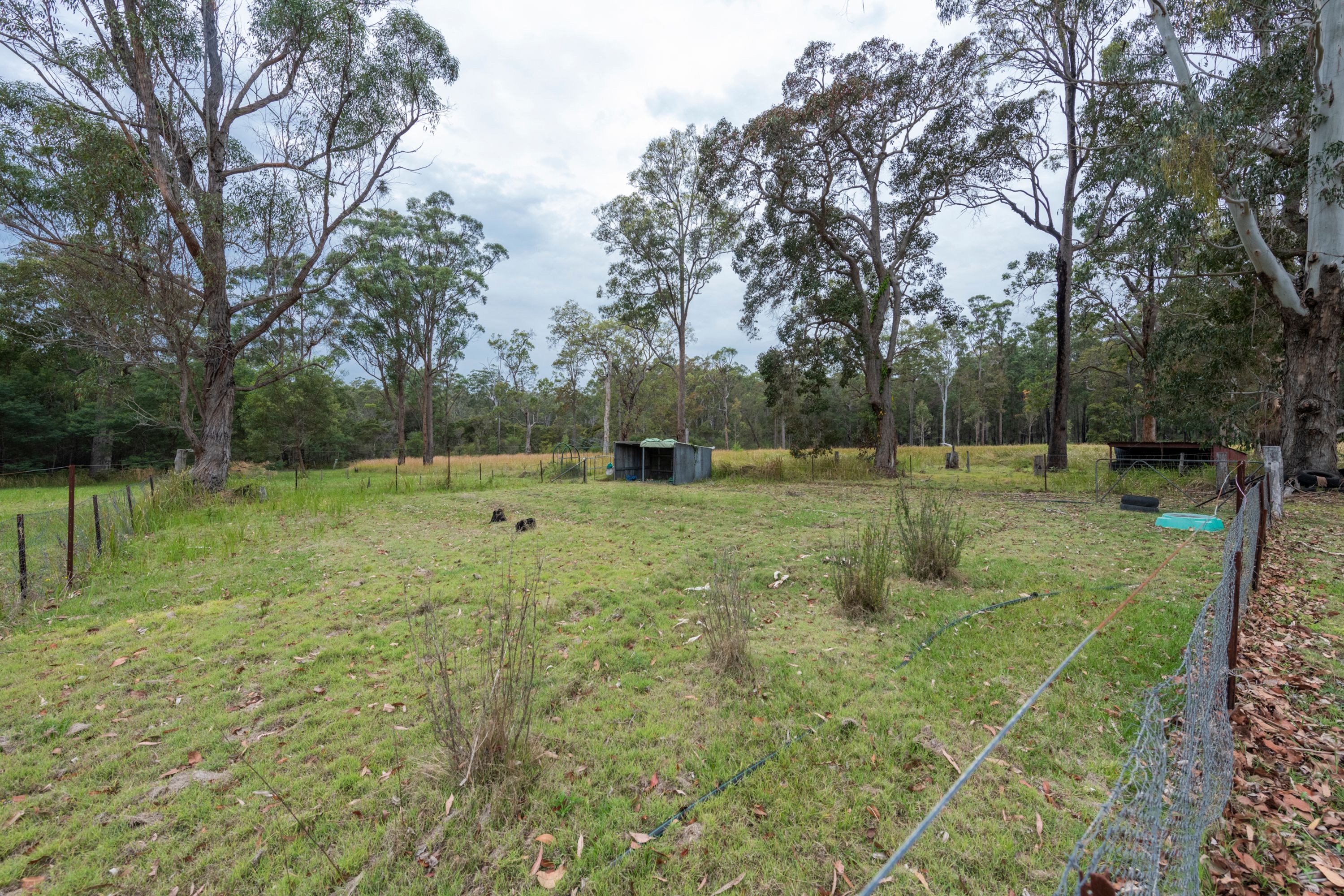 391 Dinjerra Road, Glenugie - Thumbnail 5