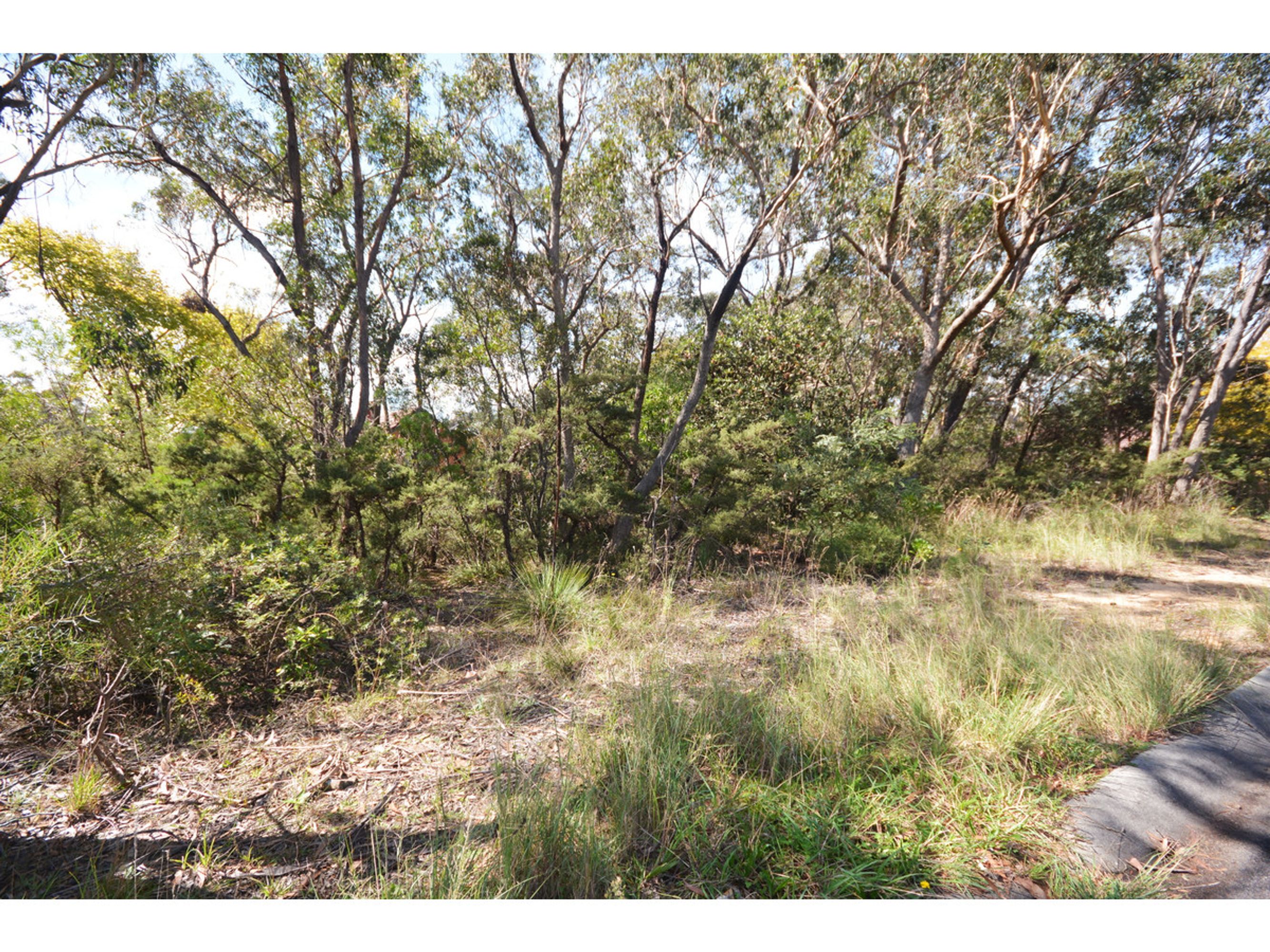 51 Sixth Avenue, Katoomba - Thumbnail 2