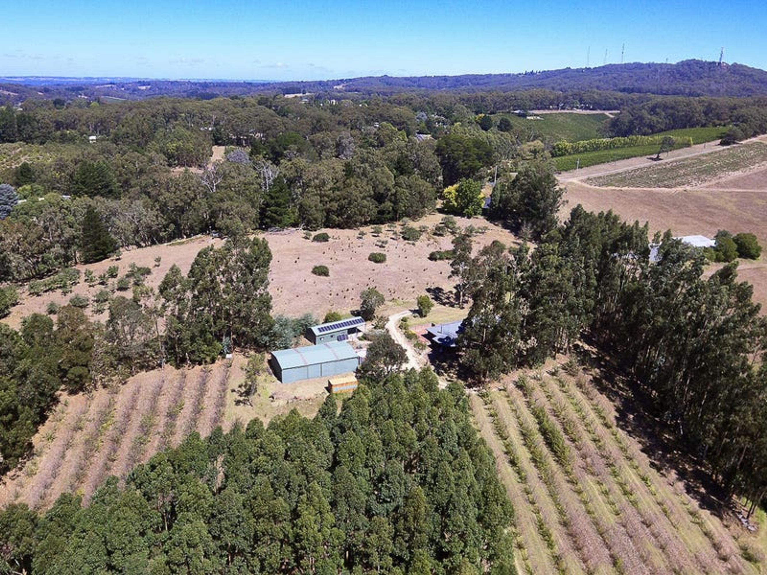 64 Tregarthen Rd, Summertown, SA 5141, Summertown - Thumbnail 2