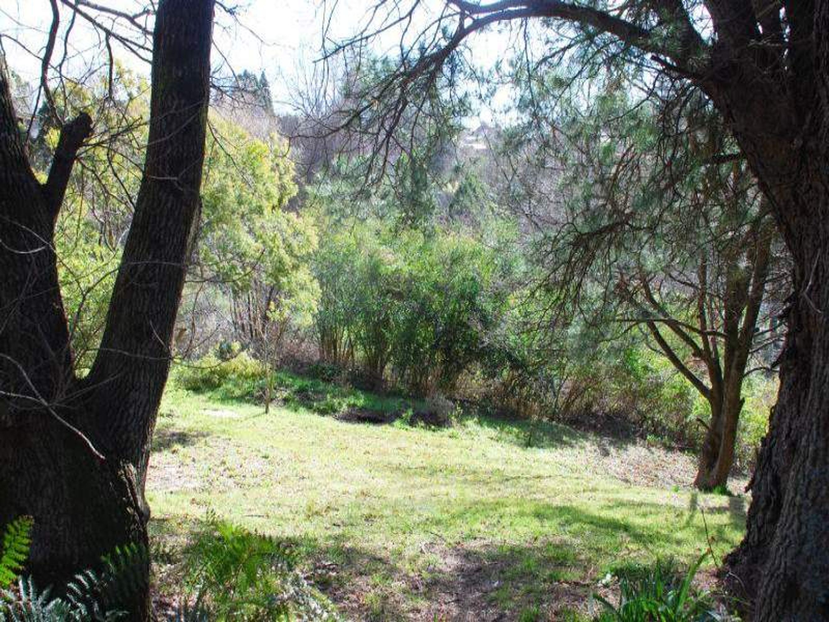 8 Warne St, Katoomba - Thumbnail 3