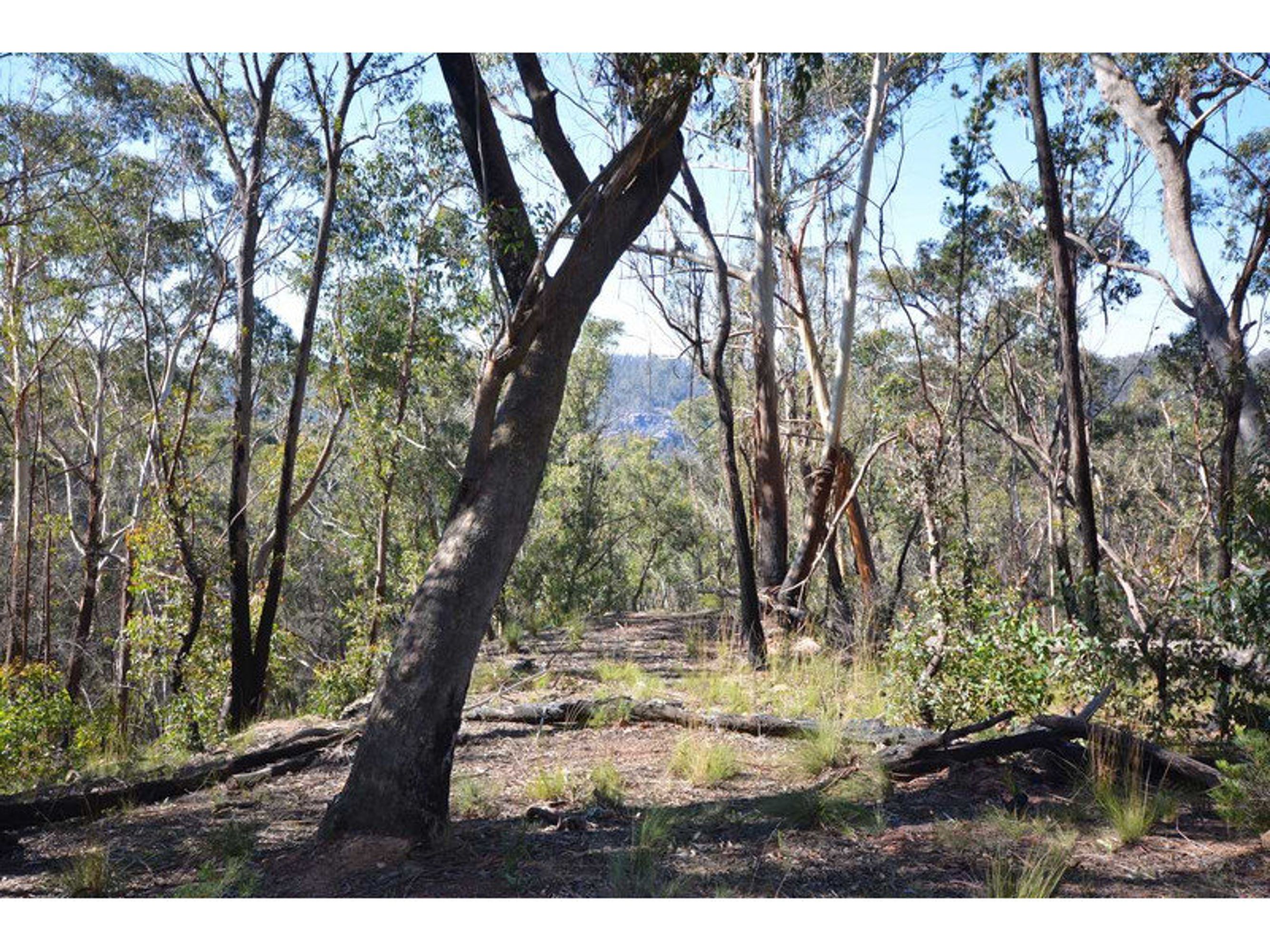 9 Balmoral Road, Mount Victoria - Thumbnail 2