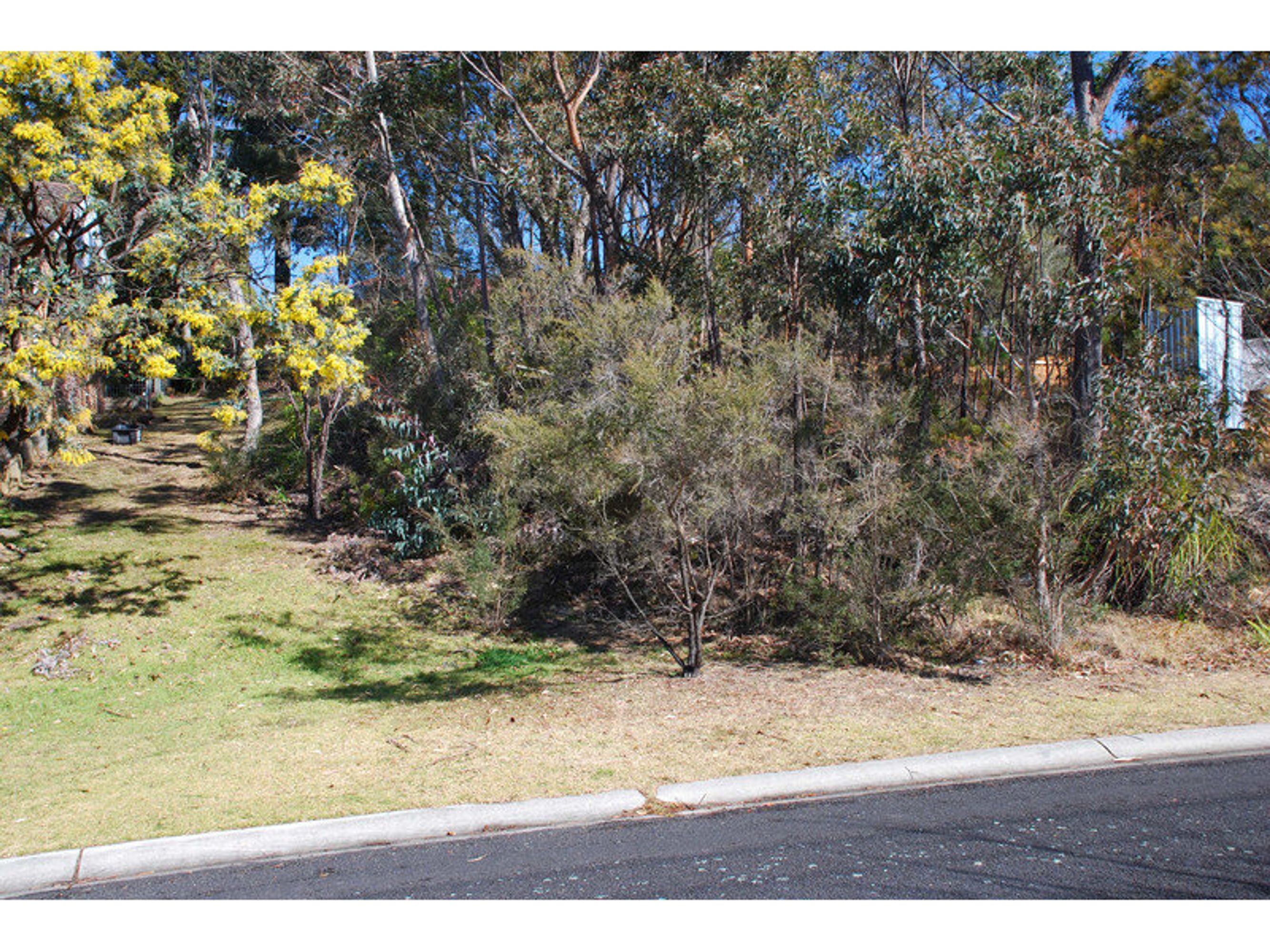 20 Panorama Crescent, Wentworth Falls - Thumbnail 4