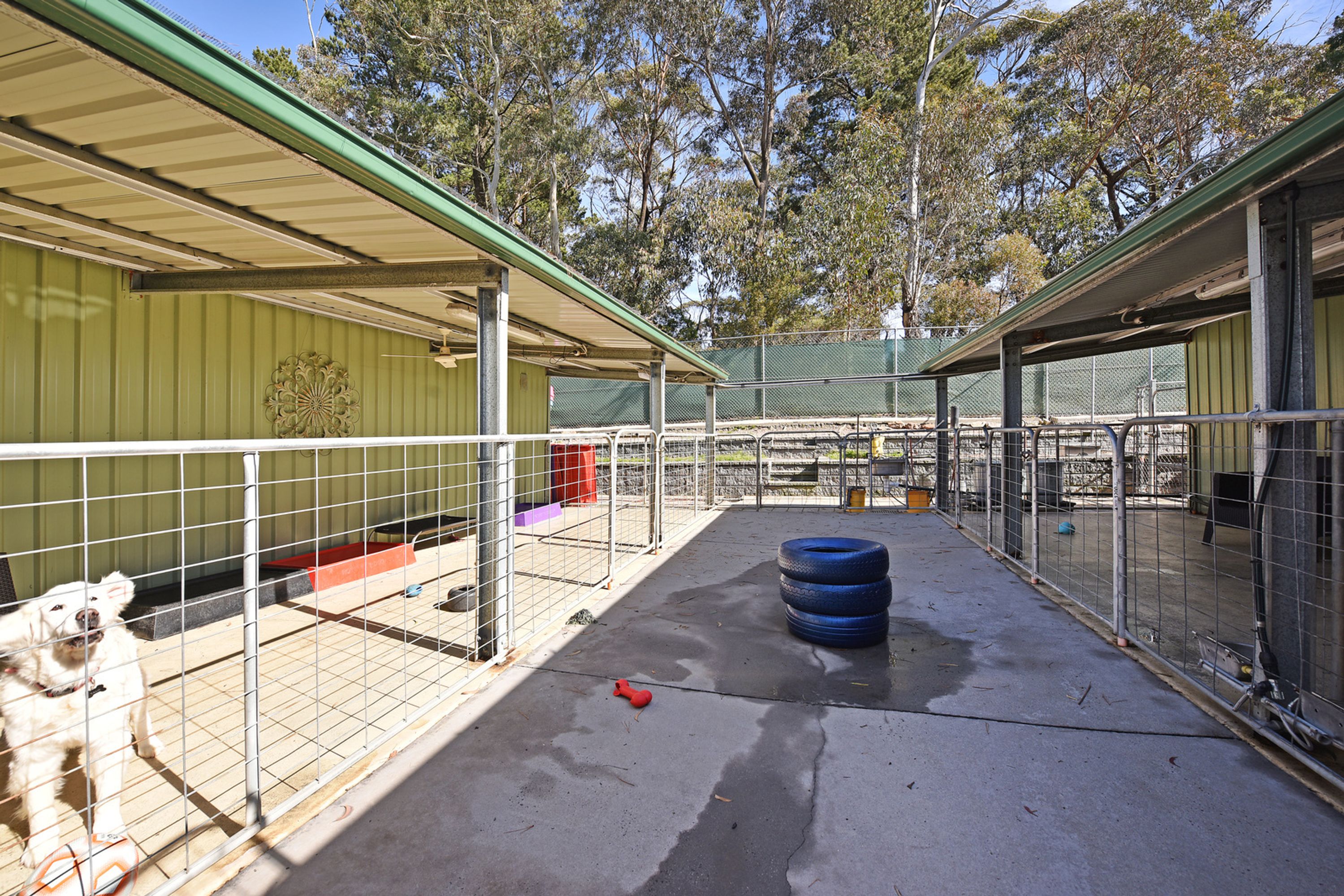 401 Great Western Highway, Blackheath - Thumbnail 6